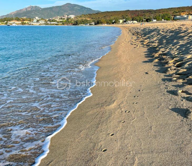 Capture d’écran 2026-03-06 à 09.01.18.png