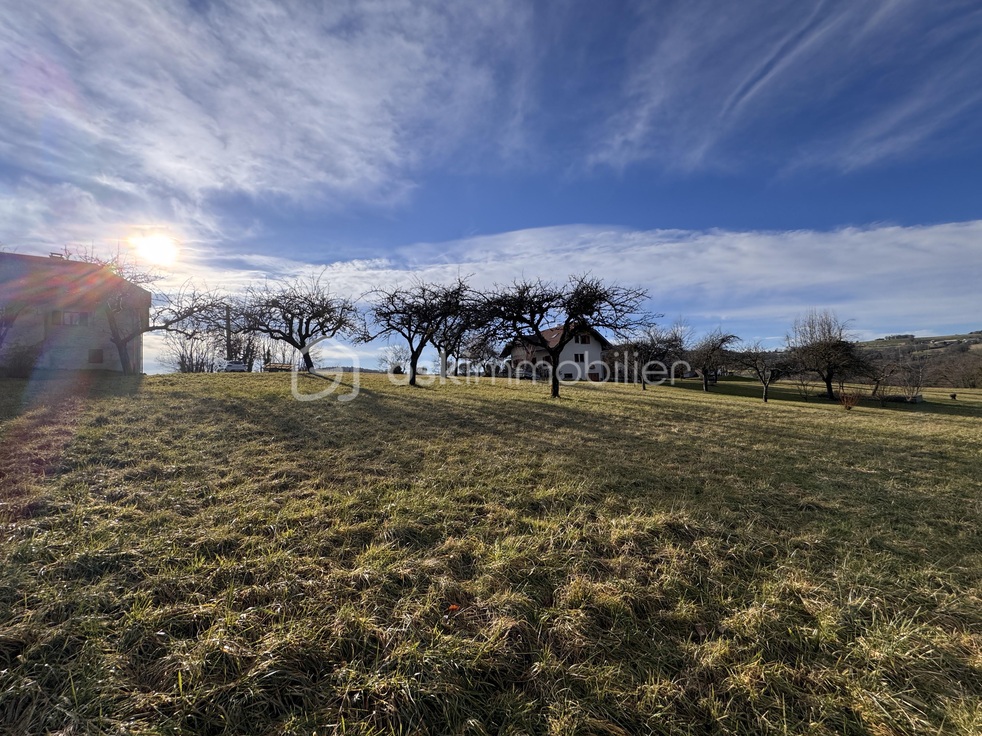 Terrain de 1 723 m² - IMG_5867.jpeg