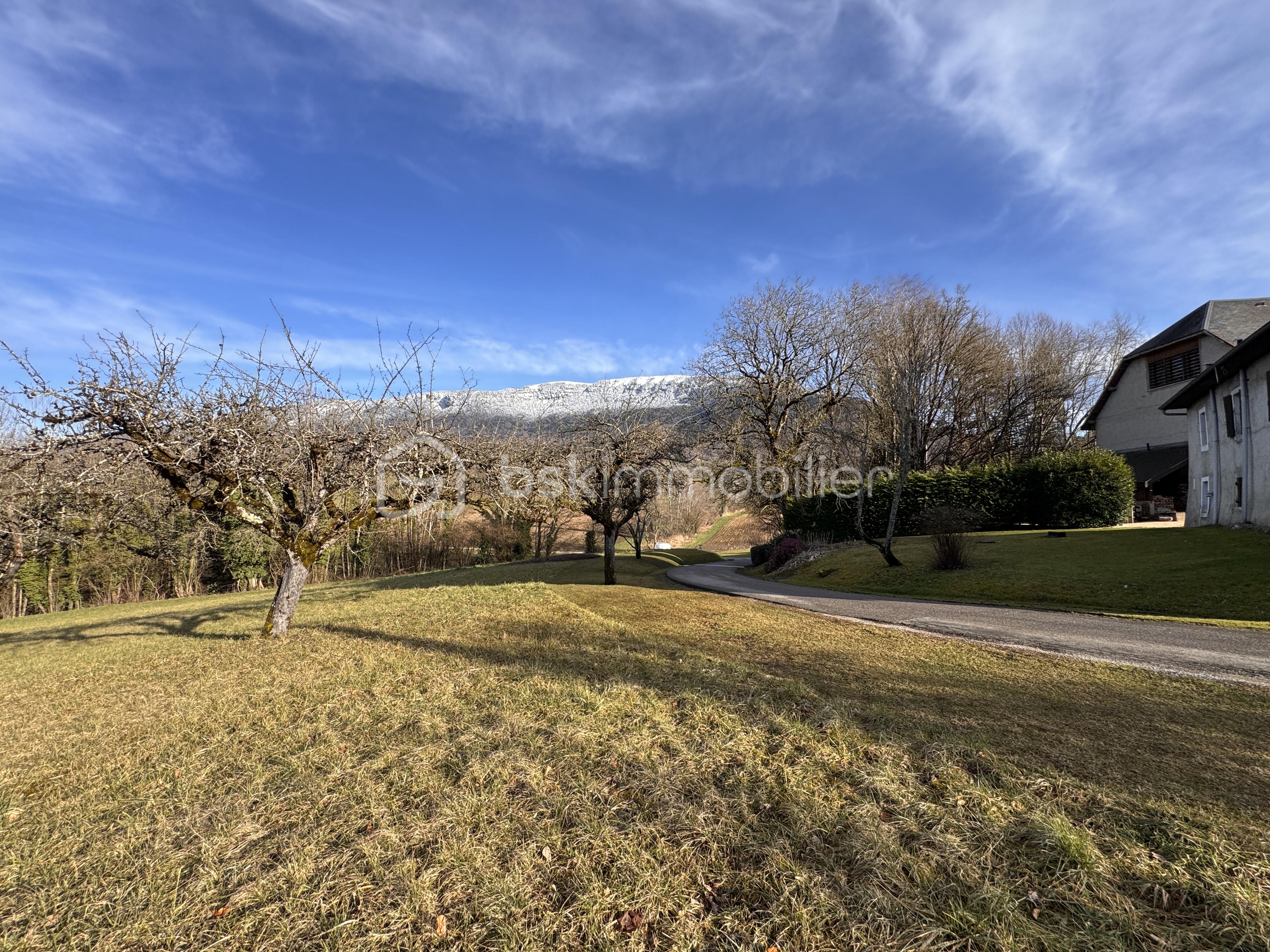 Terrain de 1 723 m² - IMG_5872.jpeg