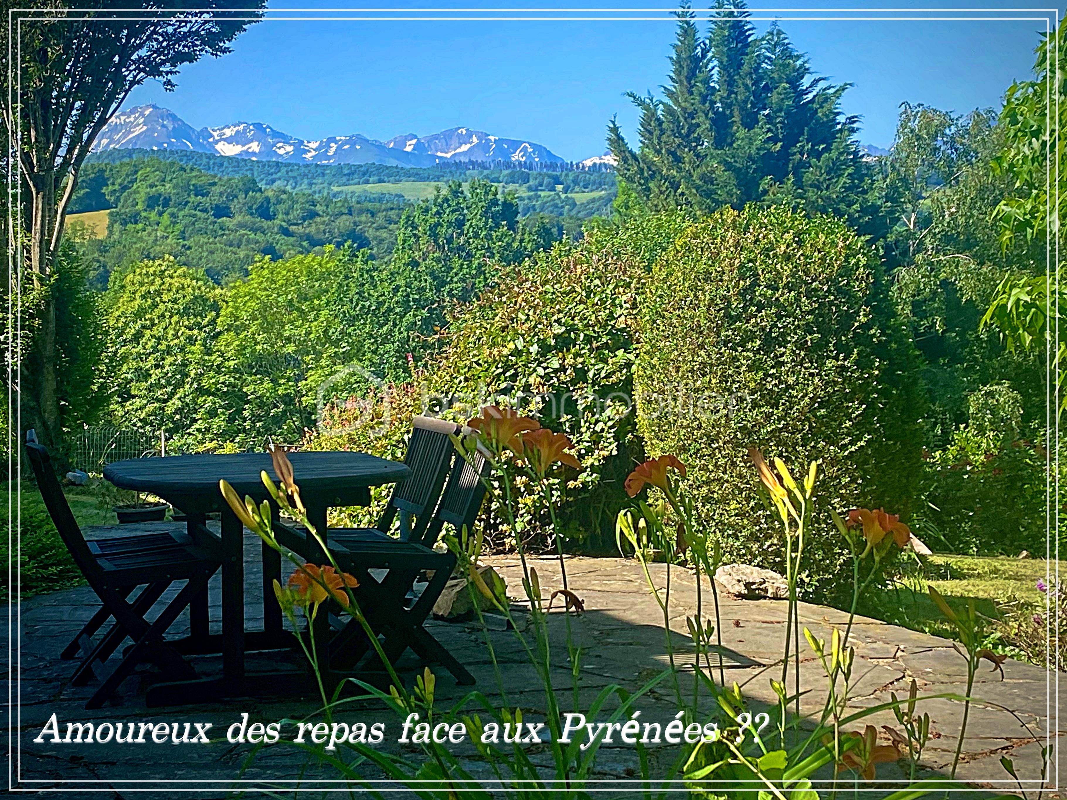 Terras vue Py.jpeg