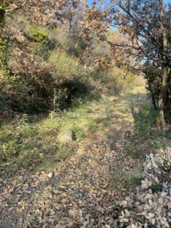 Terrain de loisirs de 4 150 m² - terrain_mas_riquier-thumb-lg.jpg