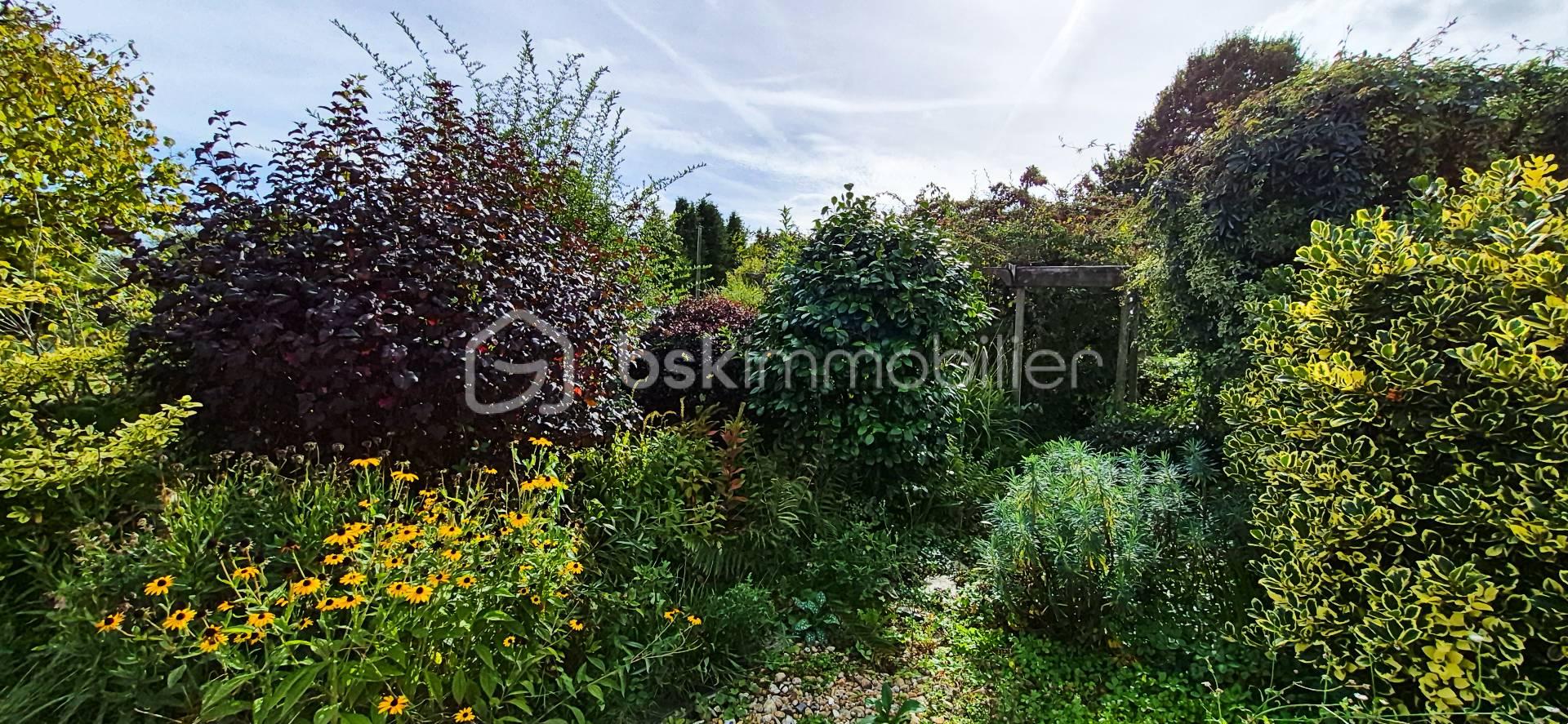 jardin.jpg