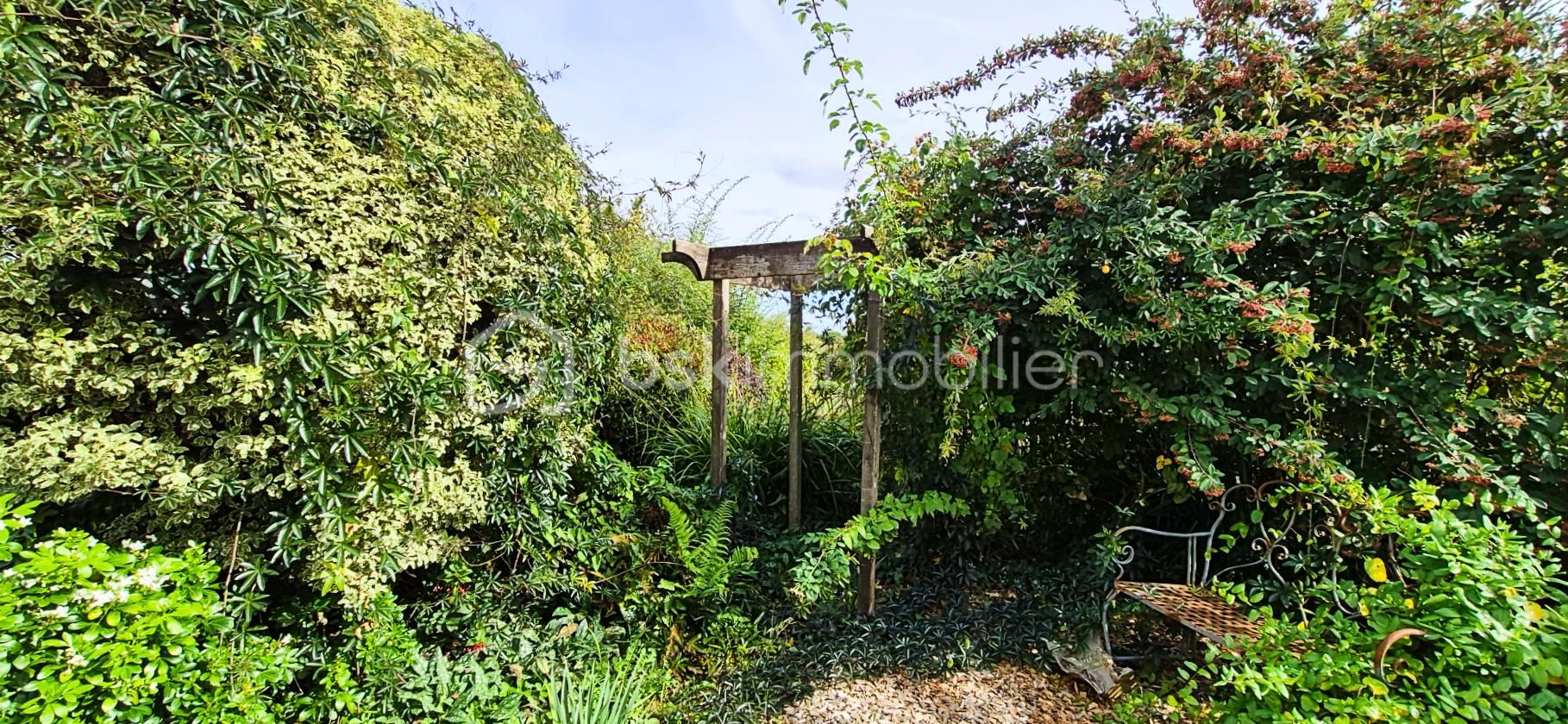 jardin 2.jpg