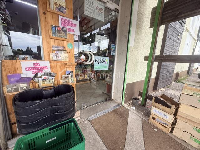 image2-4.jpeg