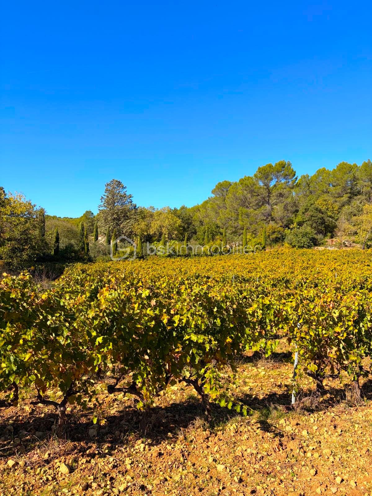 terrain-constructible-saint-antonin-du-var-3.jpg