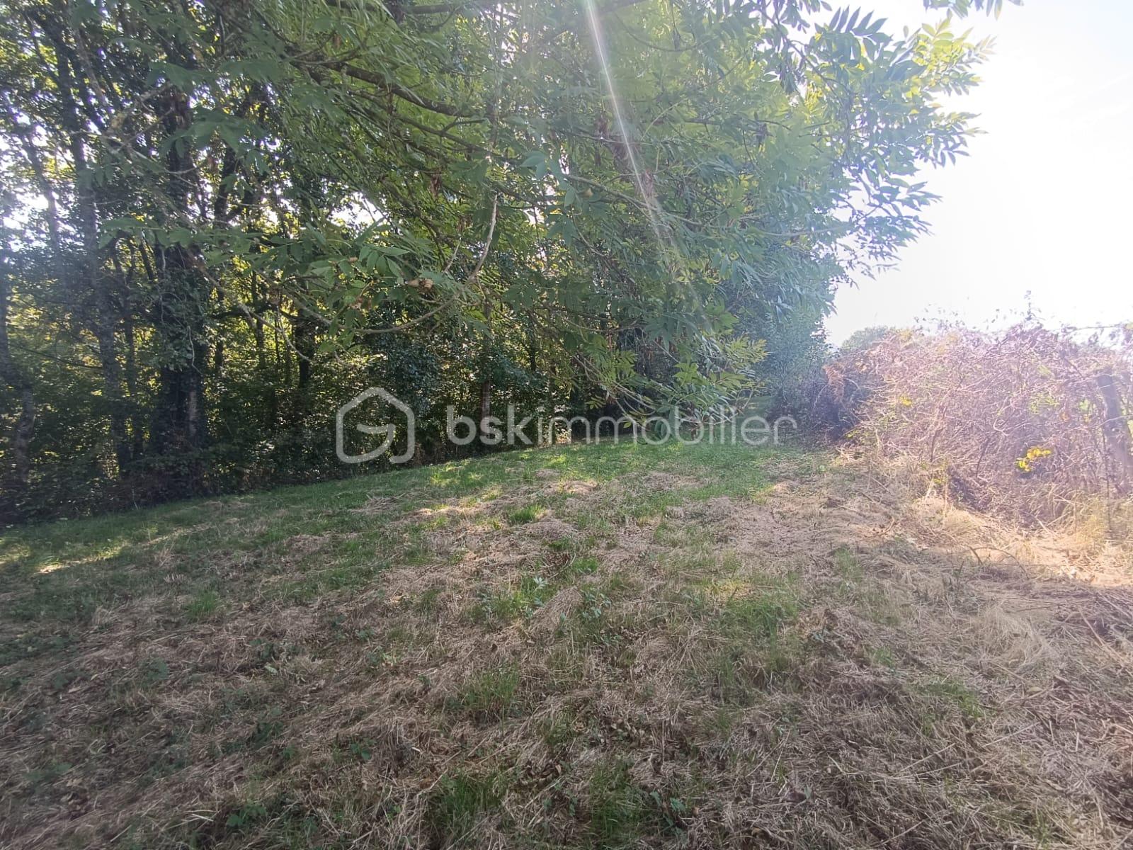 Maison de 100 m² - IMG_4284.JPG