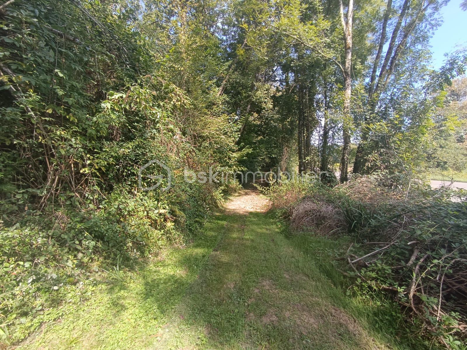 Maison de 100 m² - IMG_4286.JPG