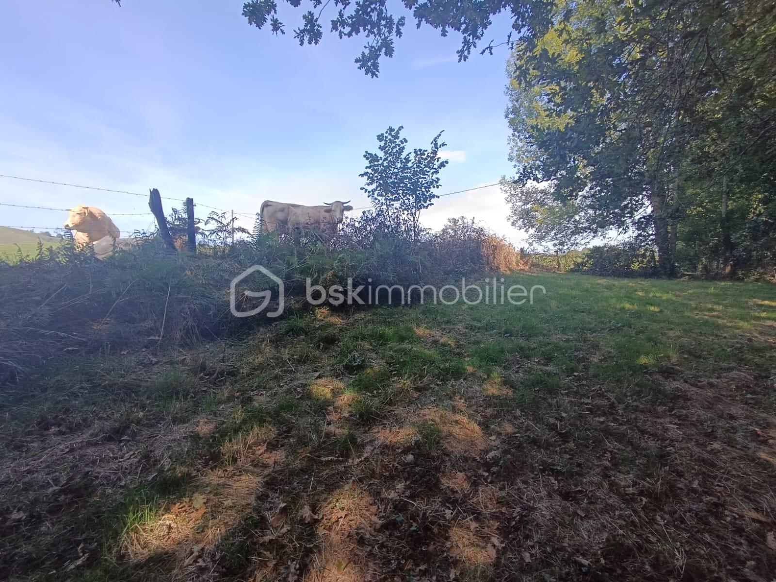 Maison de 100 m² - IMG_4283.JPG