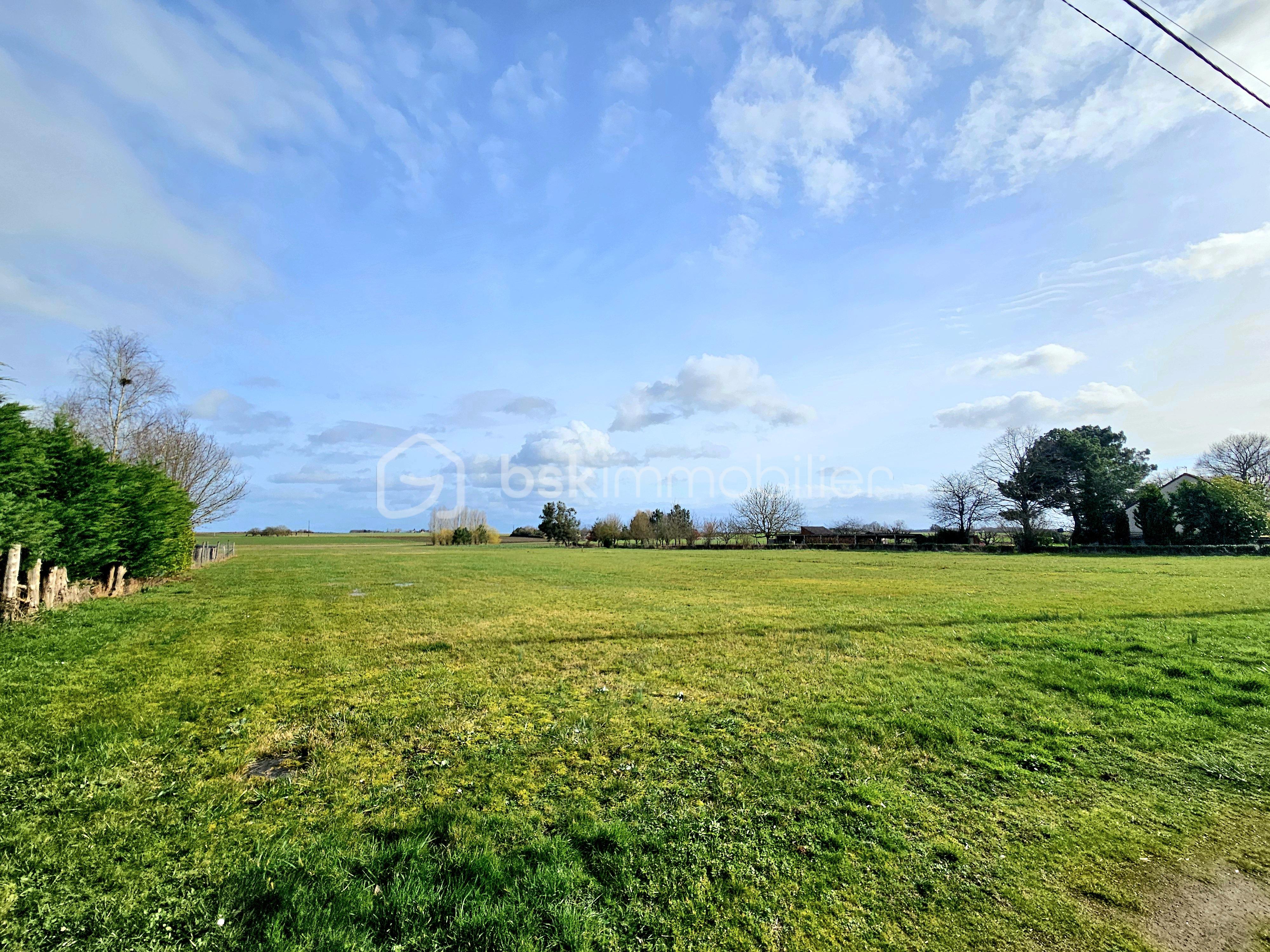 PHOTO terrain 650 m2.jpg