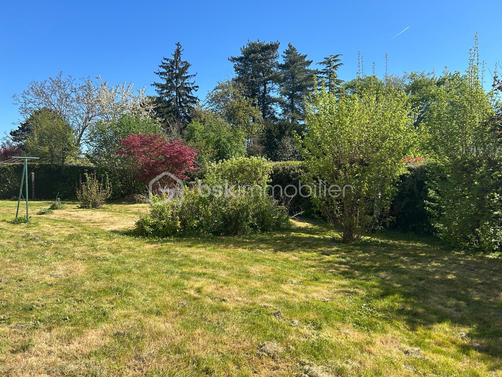 WhatsApp Image 2026-04-08 at 17.11.39 (4).jpeg