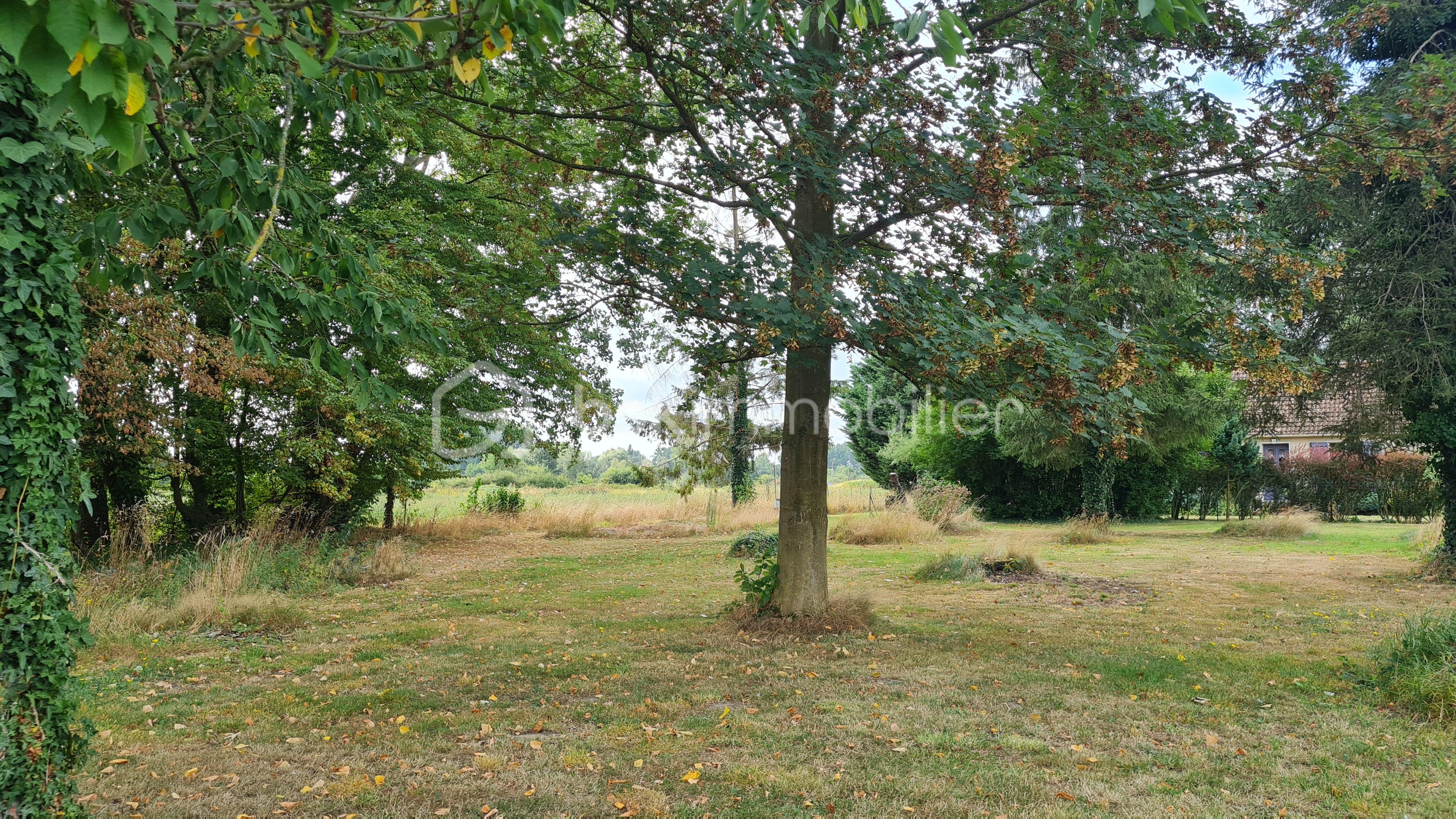 Maison longere de 103 m² - 20250827_114240.jpg