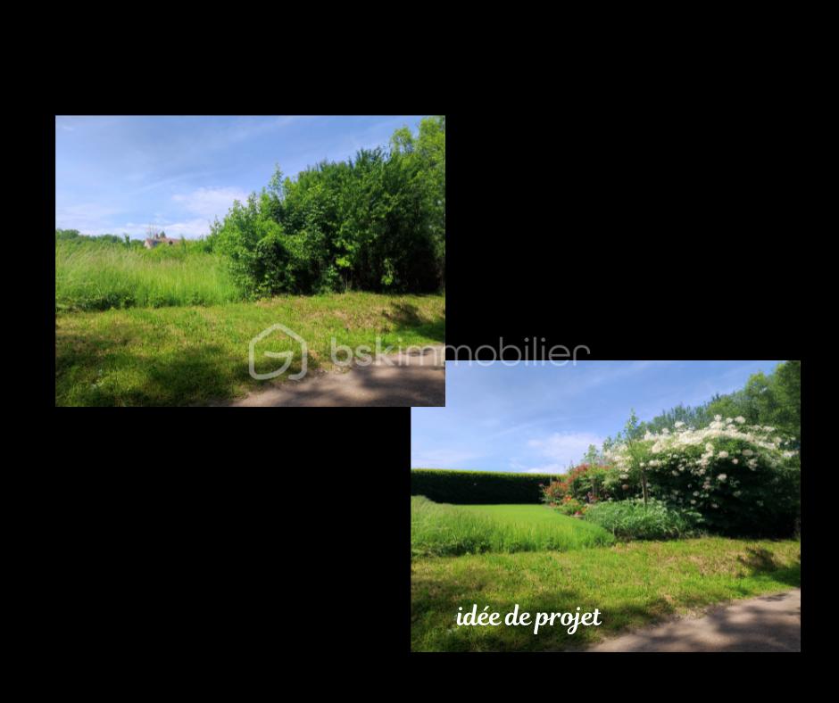 Terrain de 2 530 m² - 2.png