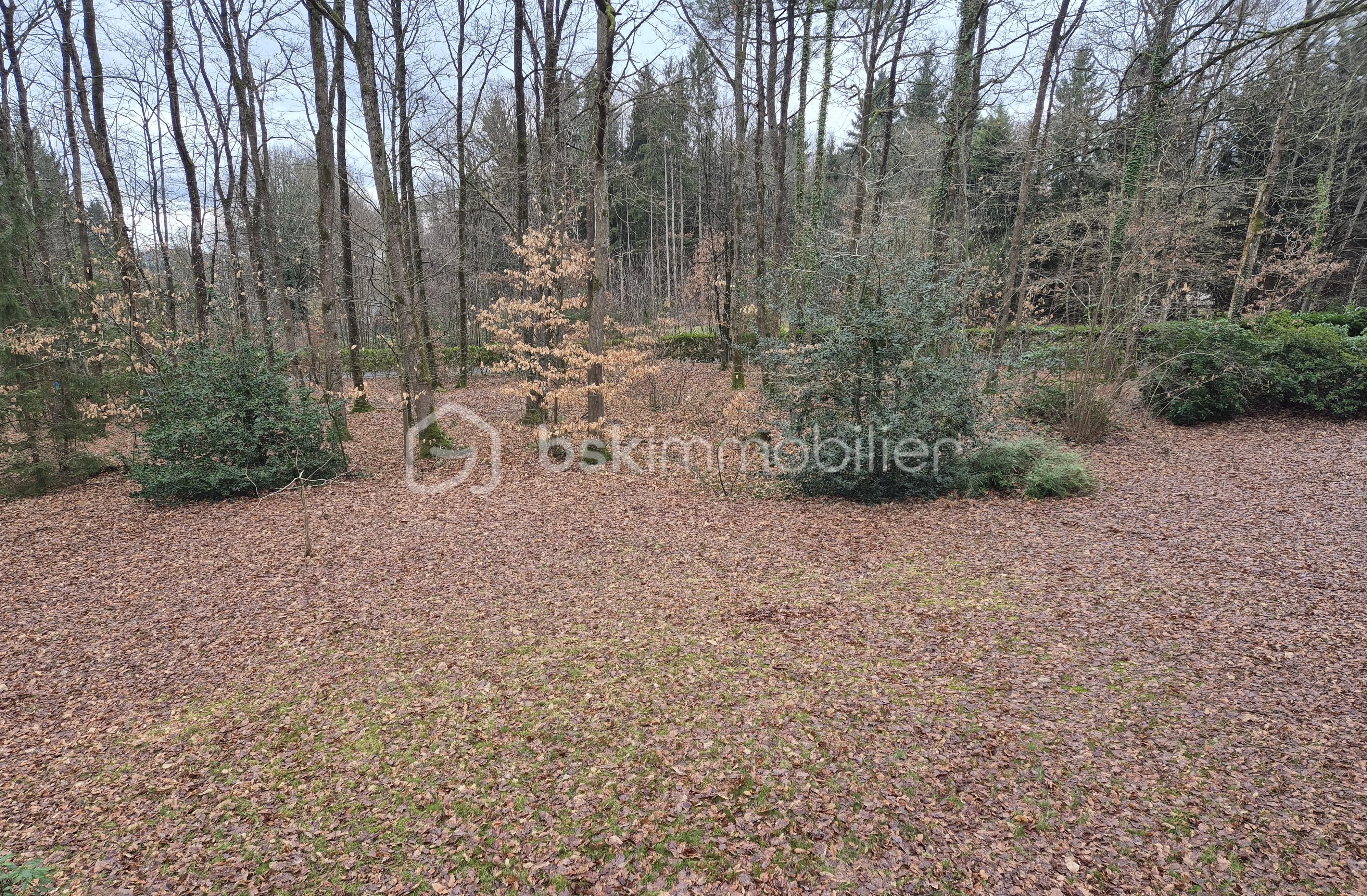 Propriete de 213 m² - sous bois.jpg