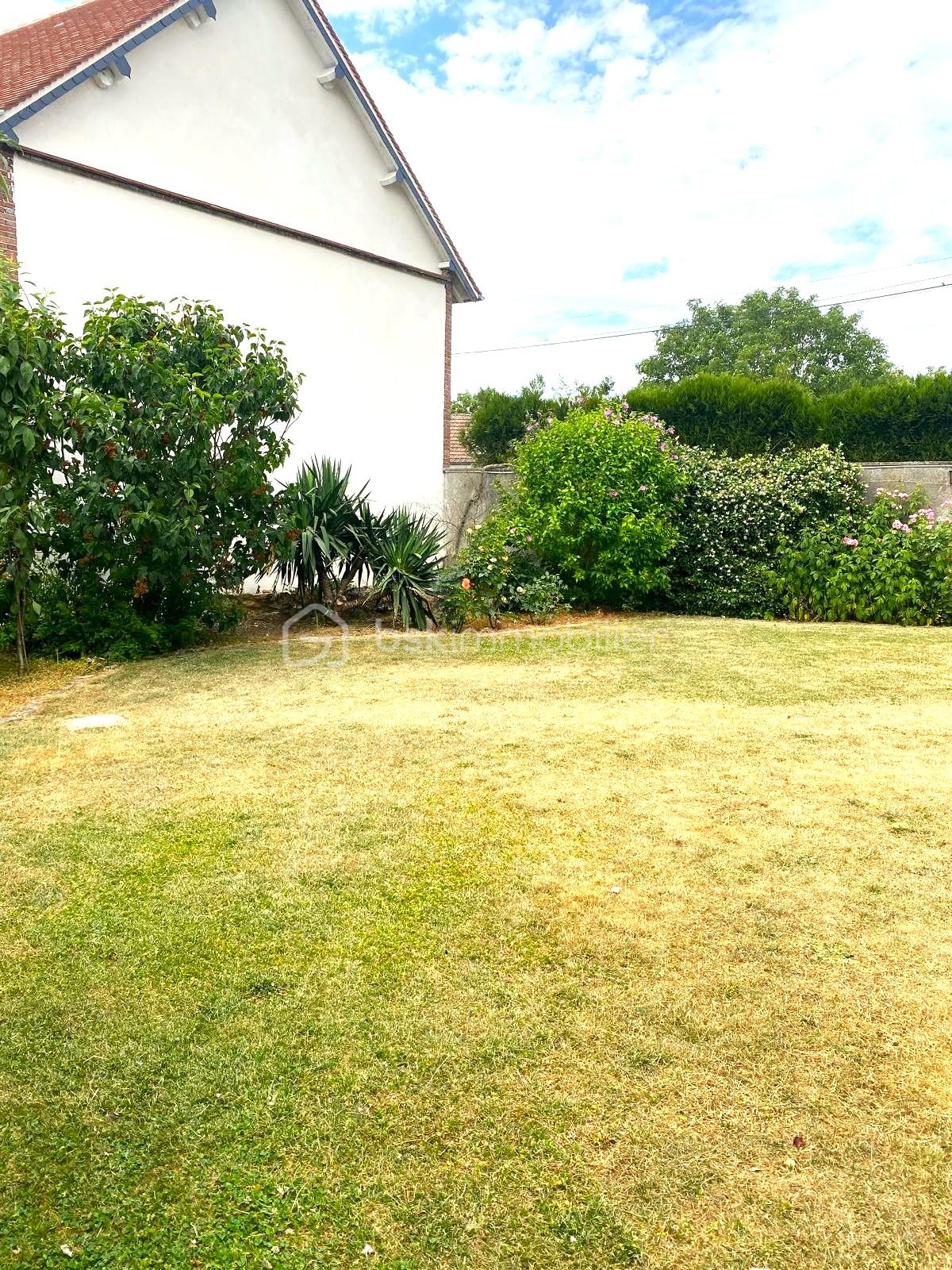 jardin arriere.jpeg