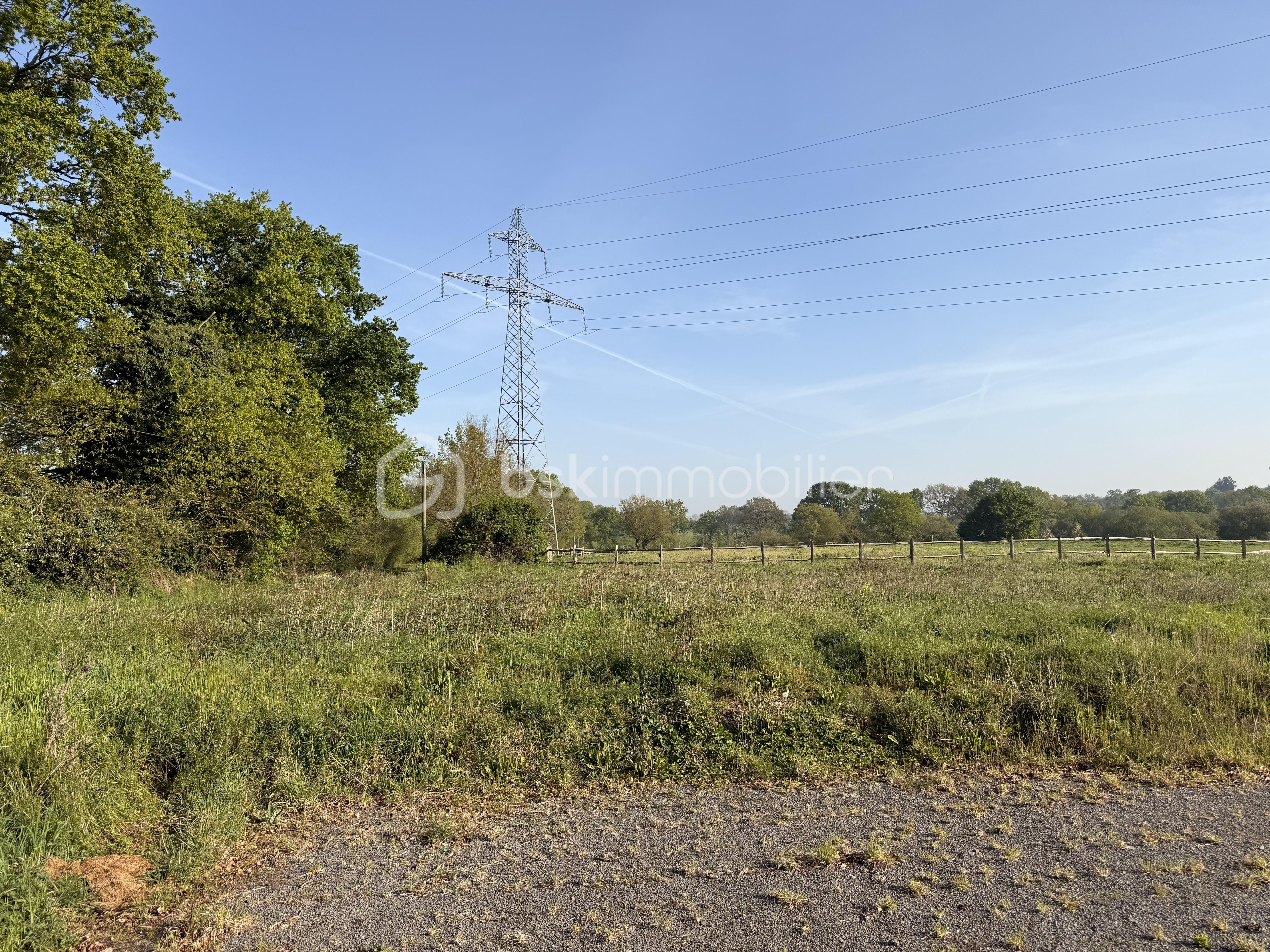 Terrain 2 Cesson.jpg