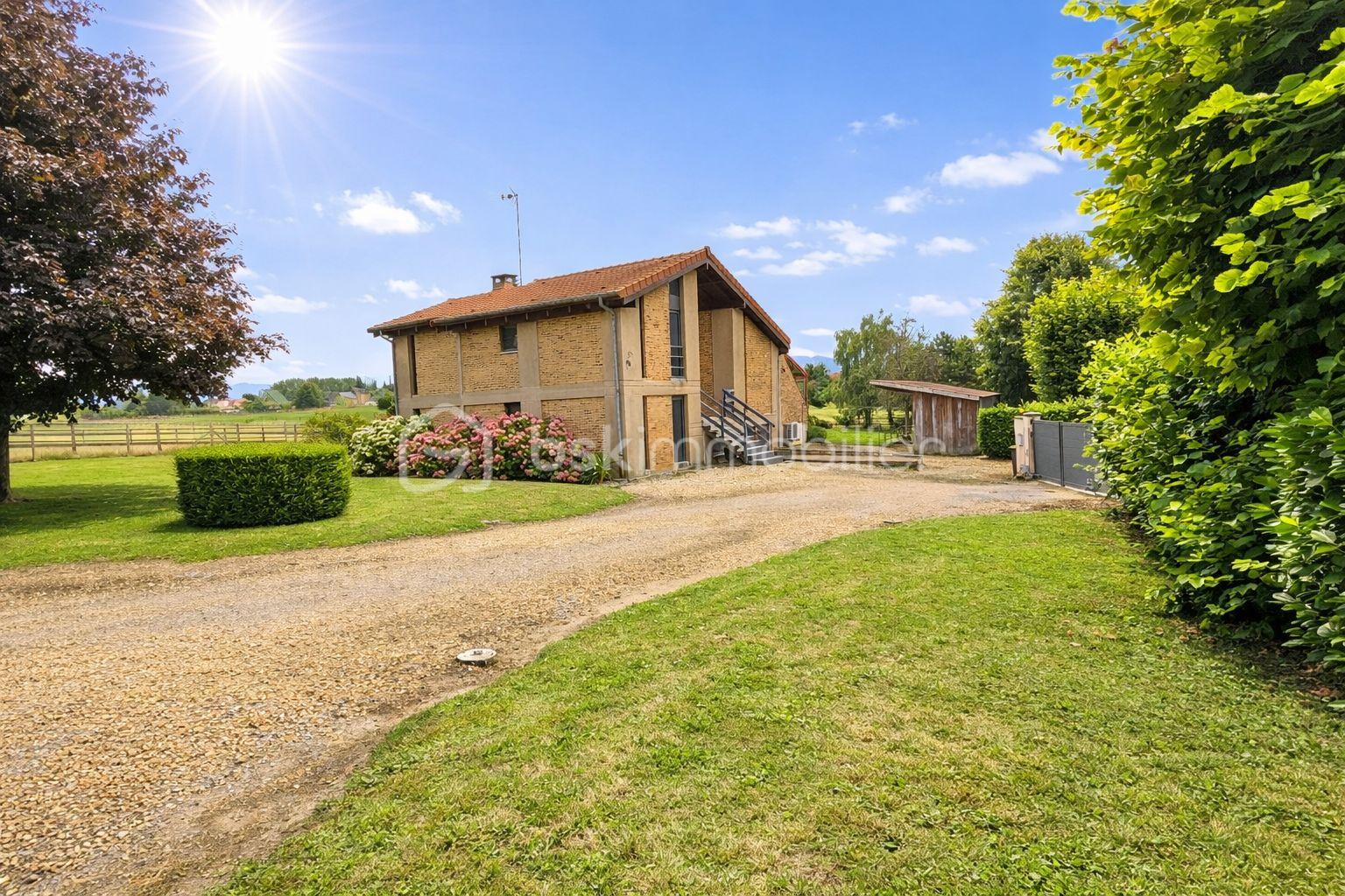 WhatsApp Image 2026-03-19 at 23.01.15 (1).jpeg