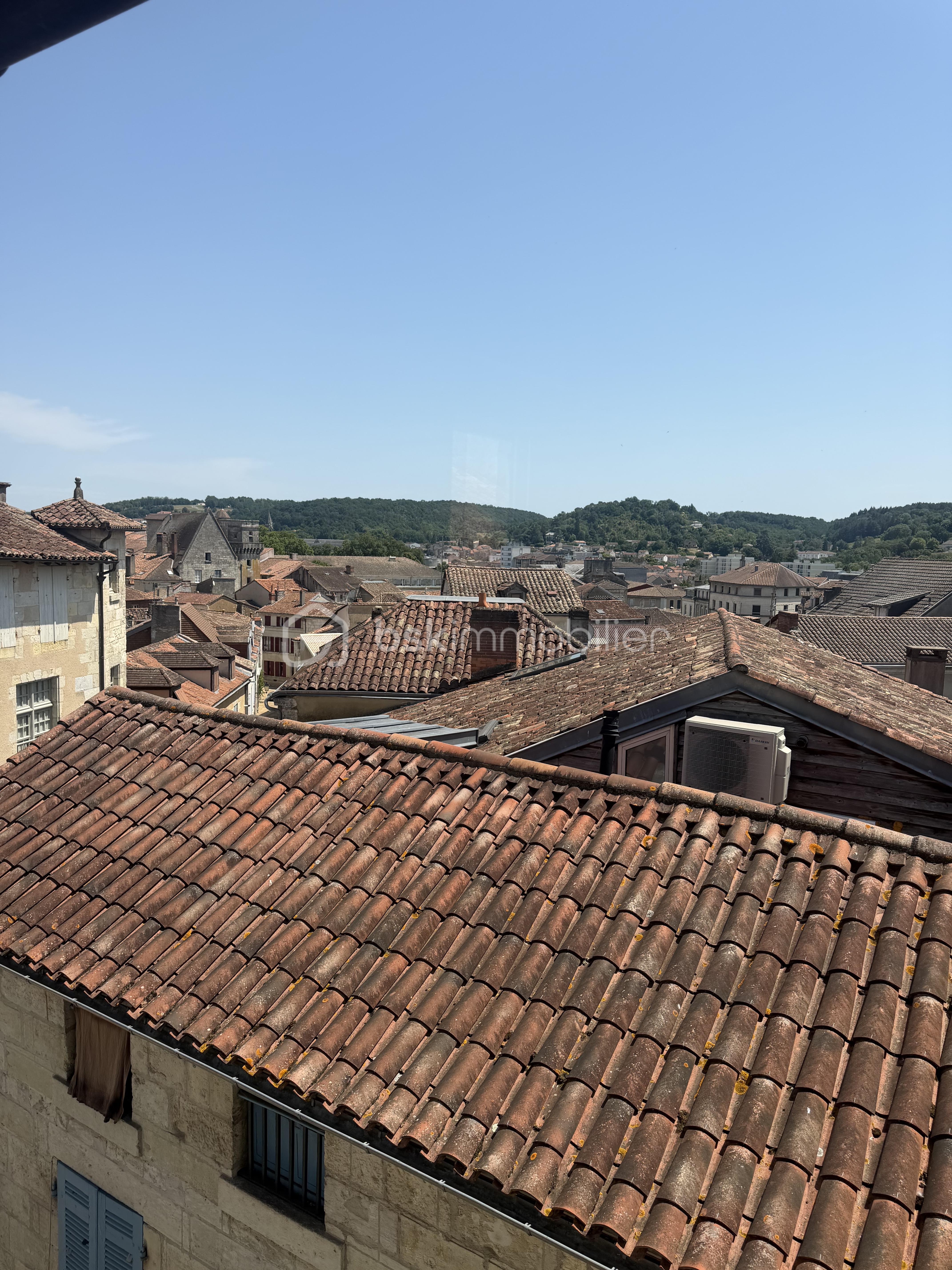 IMG_2675.jpeg