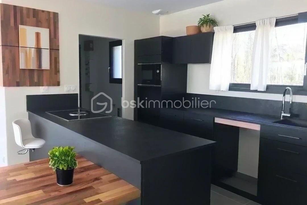 hoqi-photo - 2026-02-27T183121.114.jpg