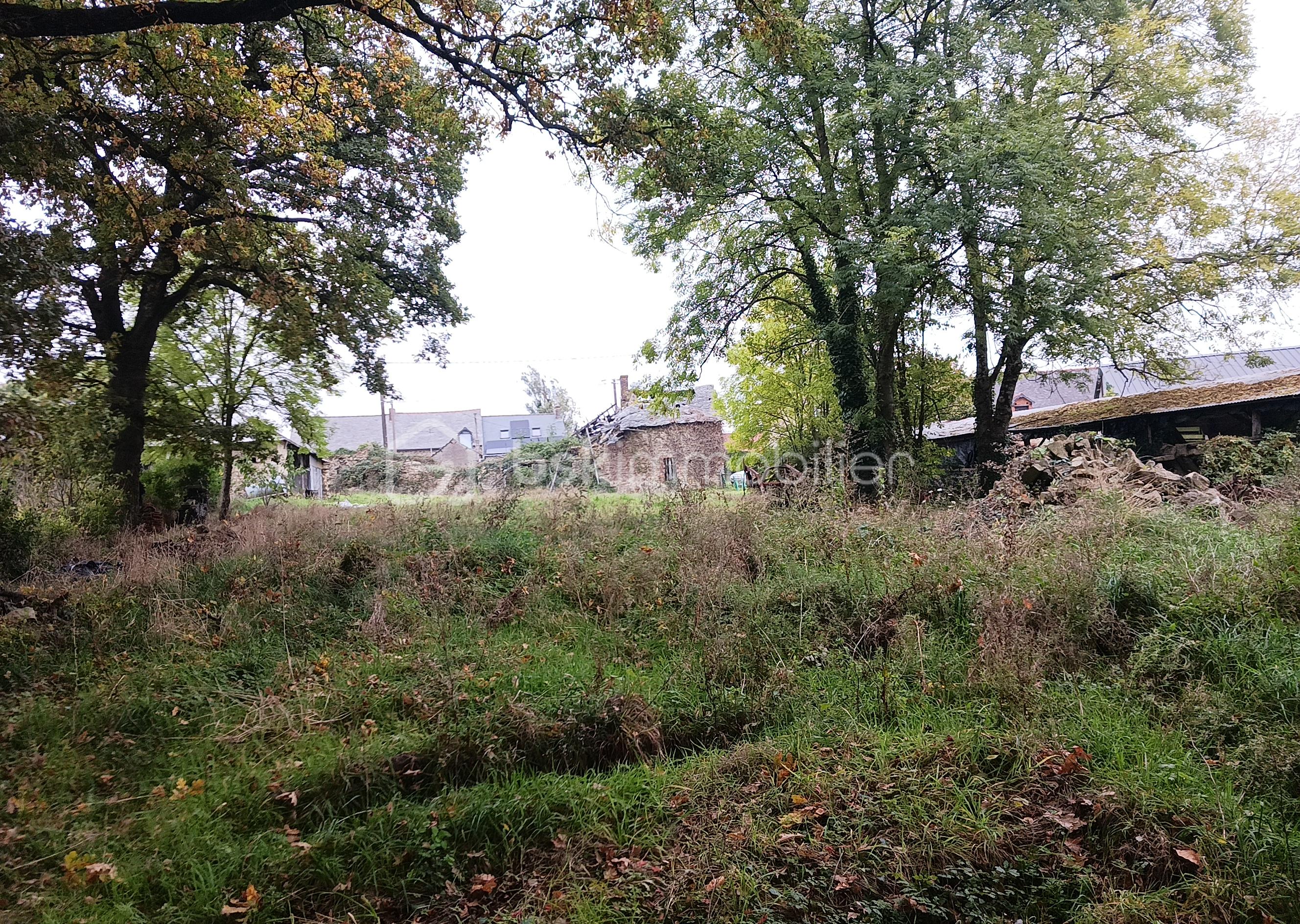 Corps de ferme de 1 577 m² - 20251011_123751.jpg