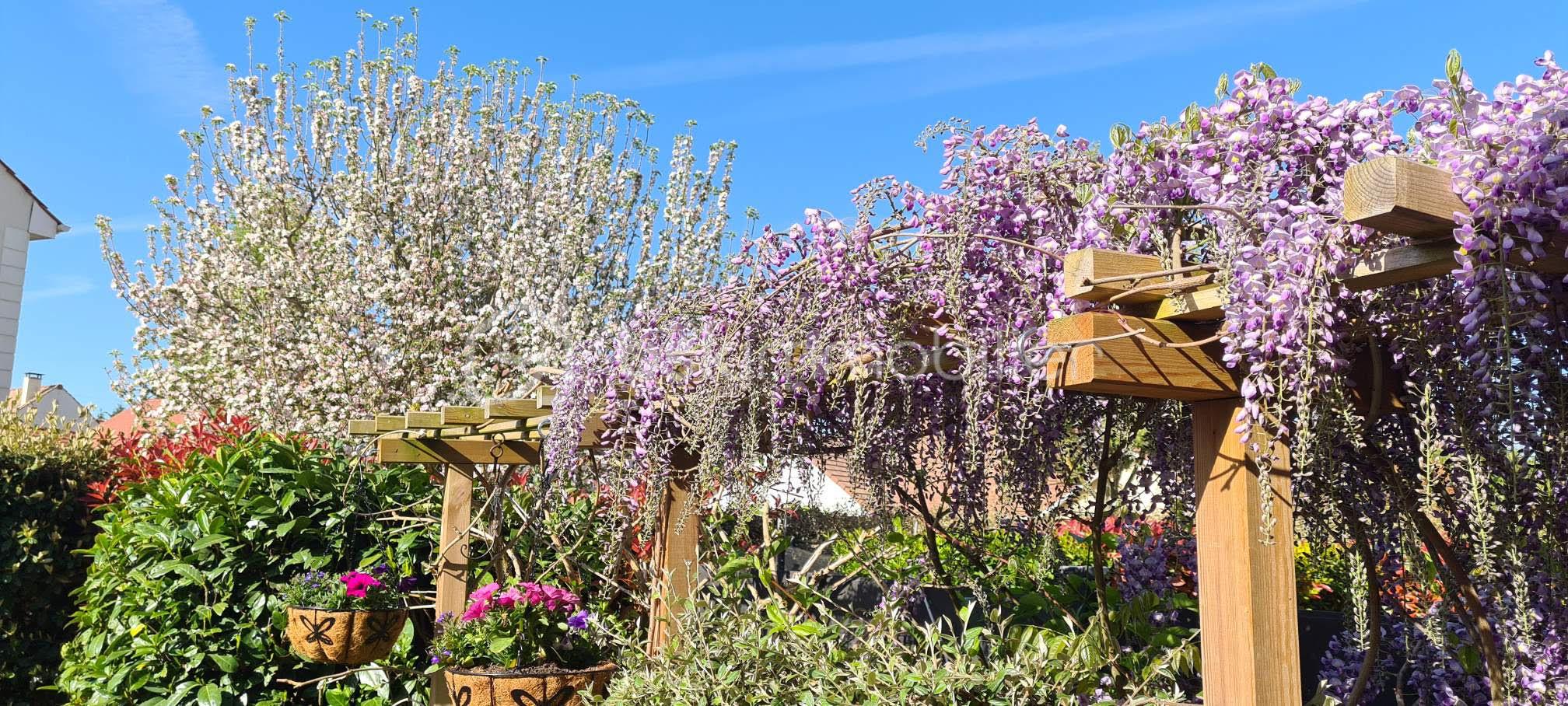 Maison de 84,04 m² - jardin 4.jpg