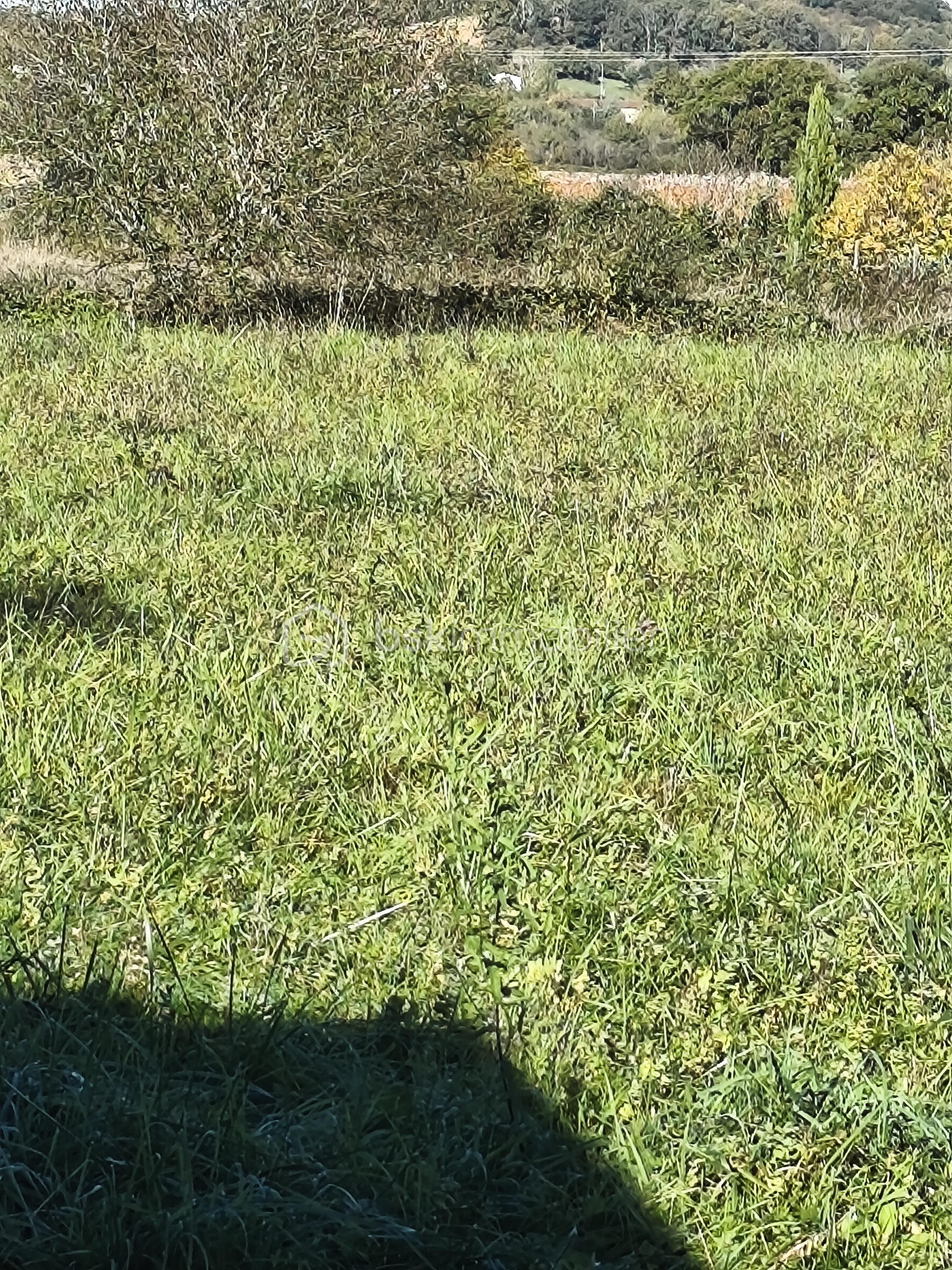 Terrain de 1 500 m² - IMG_20251104_100754.jpg