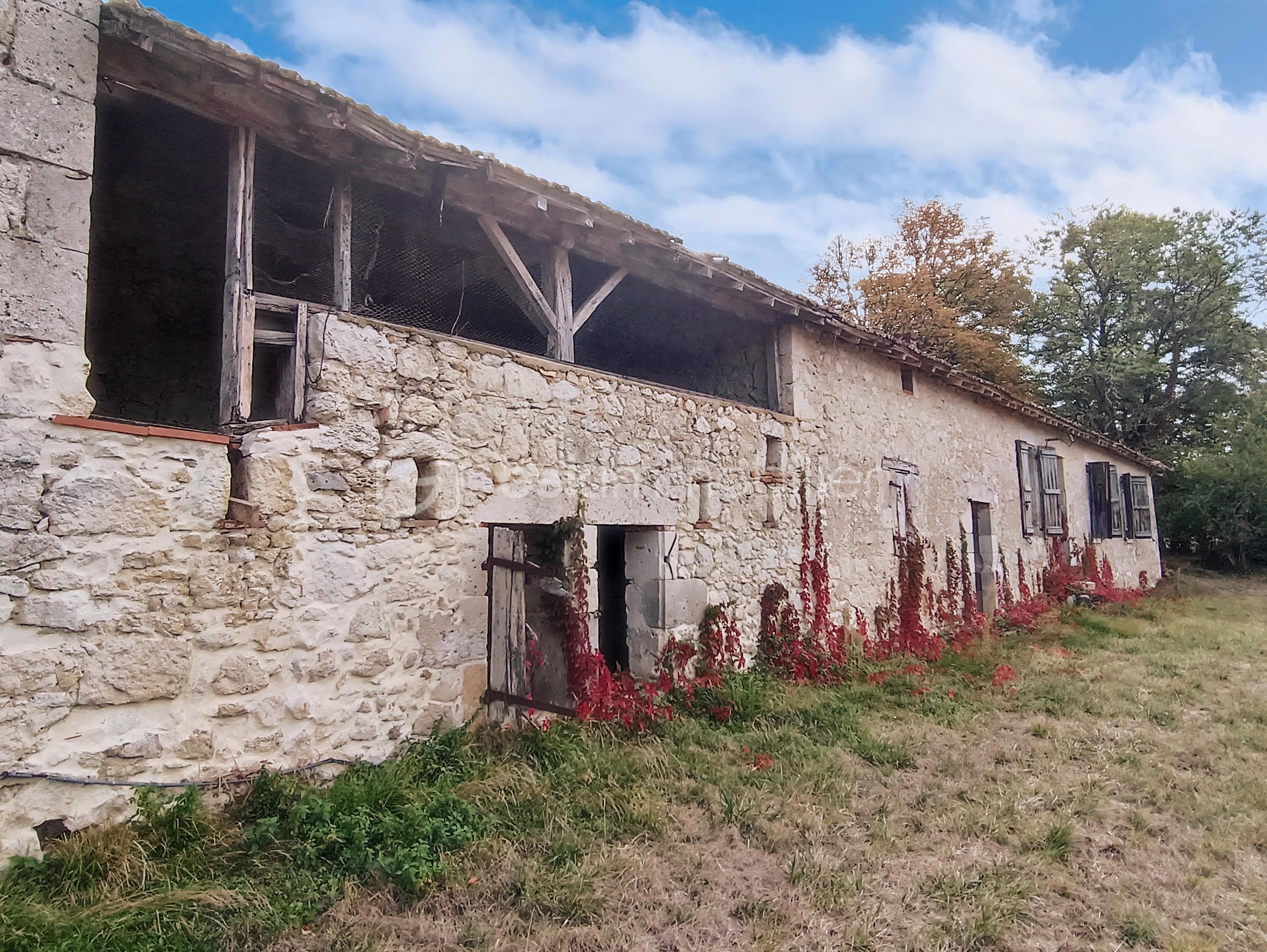 maison_entre_lectoure_agen_astaffort_renovation _huose_for_sale_gers_gascony_renovation_project_cesar_carvalho_best_frensh_realsate_agent (25).jpg