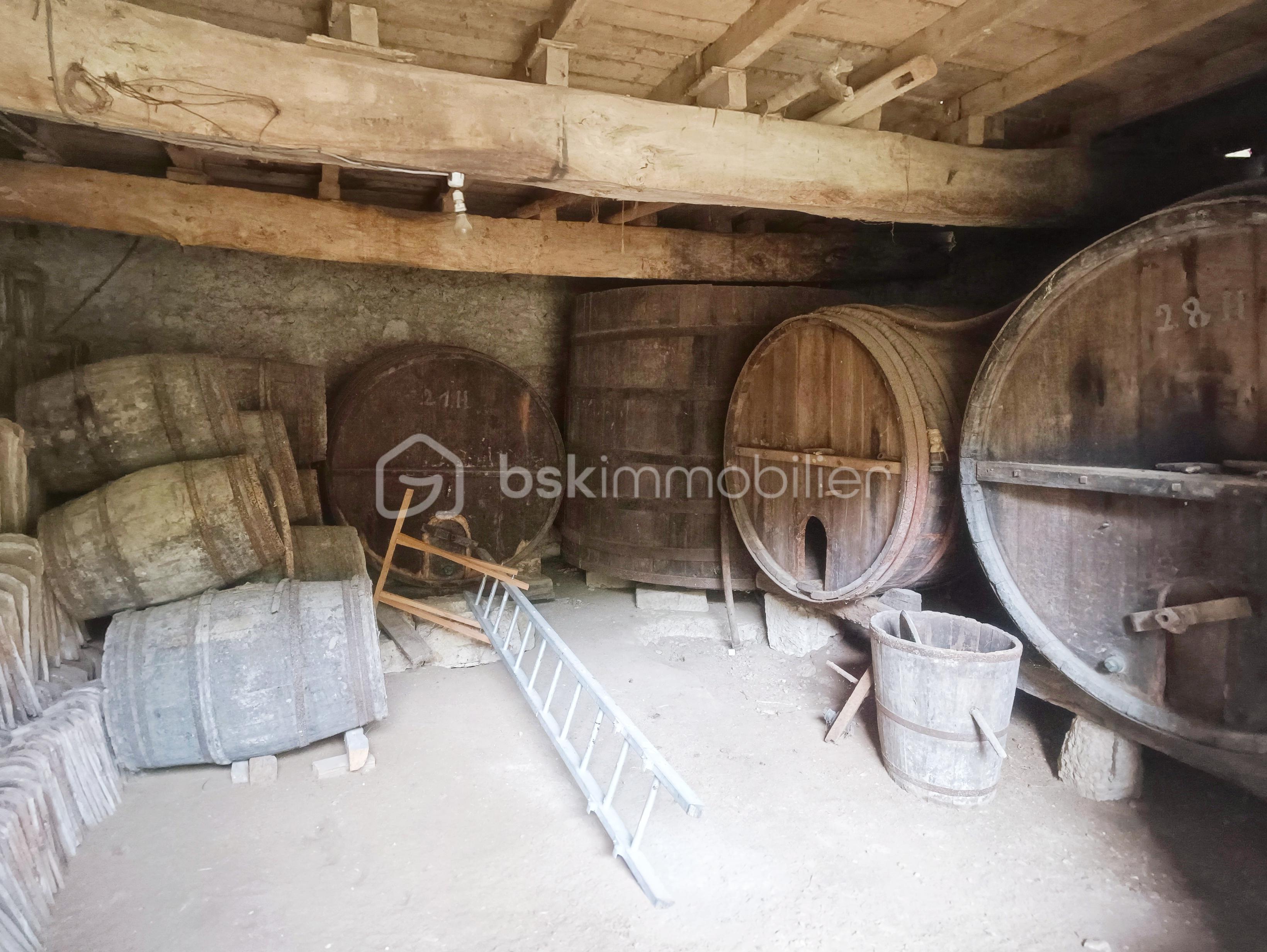 maison_entre_lectoure_agen_astaffort_renovation _huose_for_sale_gers_gascony_renovation_project_cesar_carvalho_best_frensh_realsate_agent (6).jpg