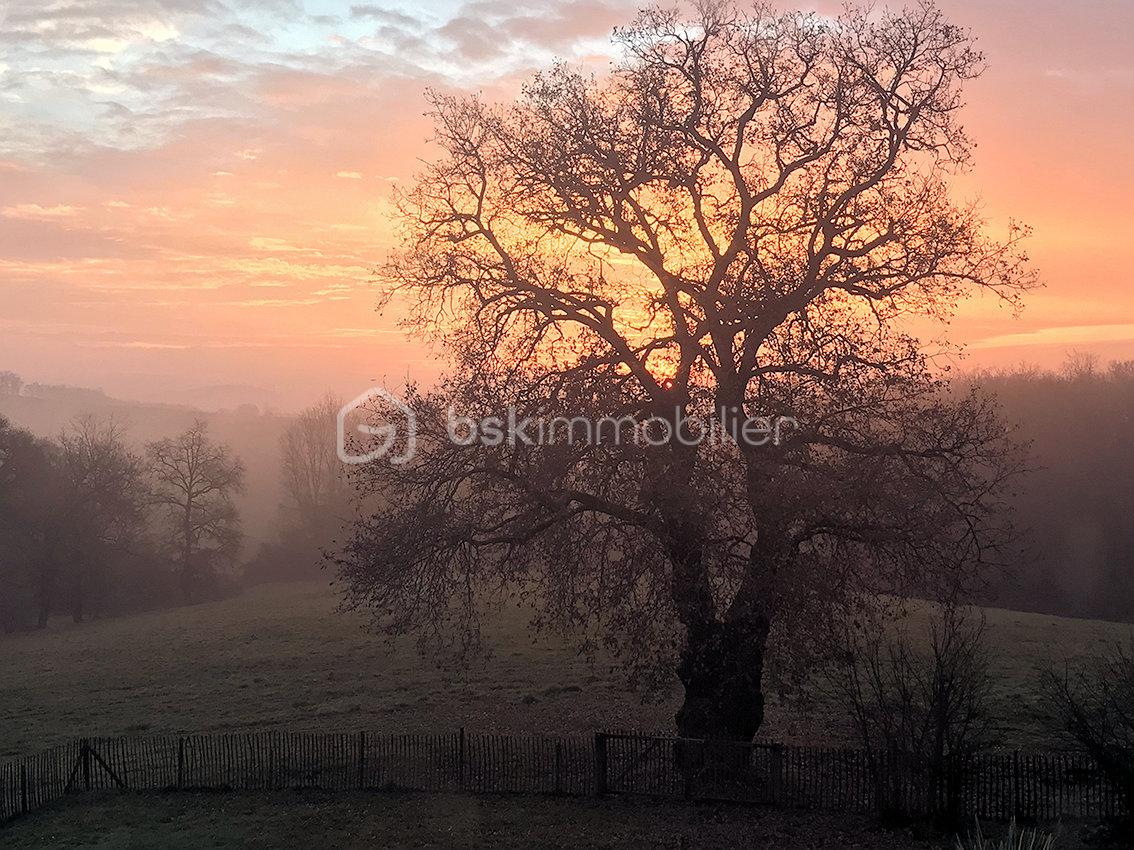 Demeure de 321 m² - coucher de soleil.jpg