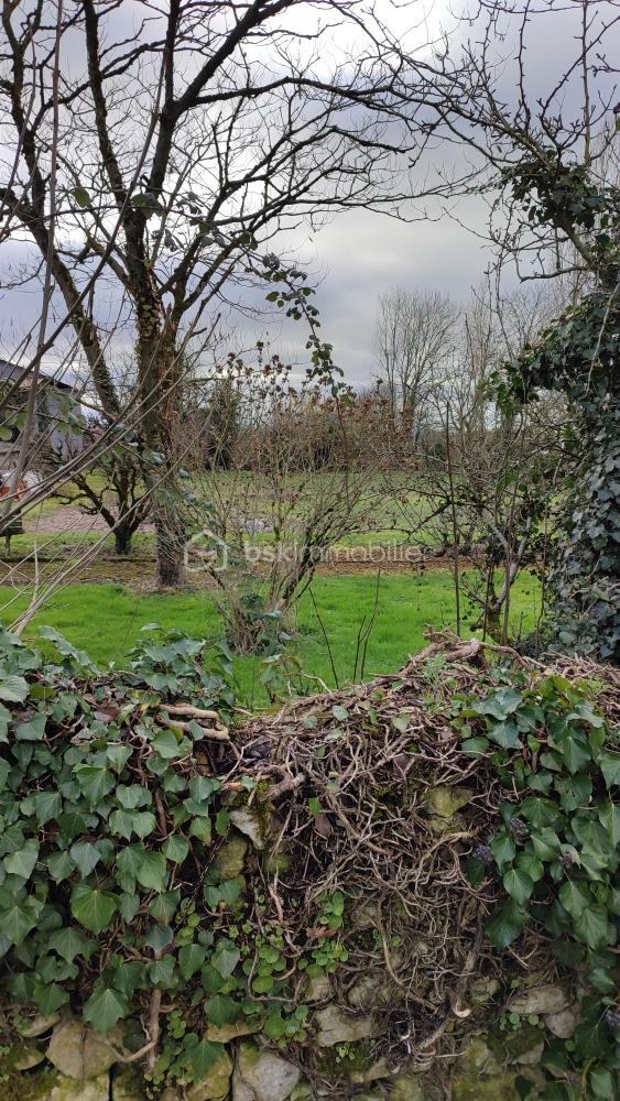 Terrain de 600 m² - IMG_20260128_151949.jpg