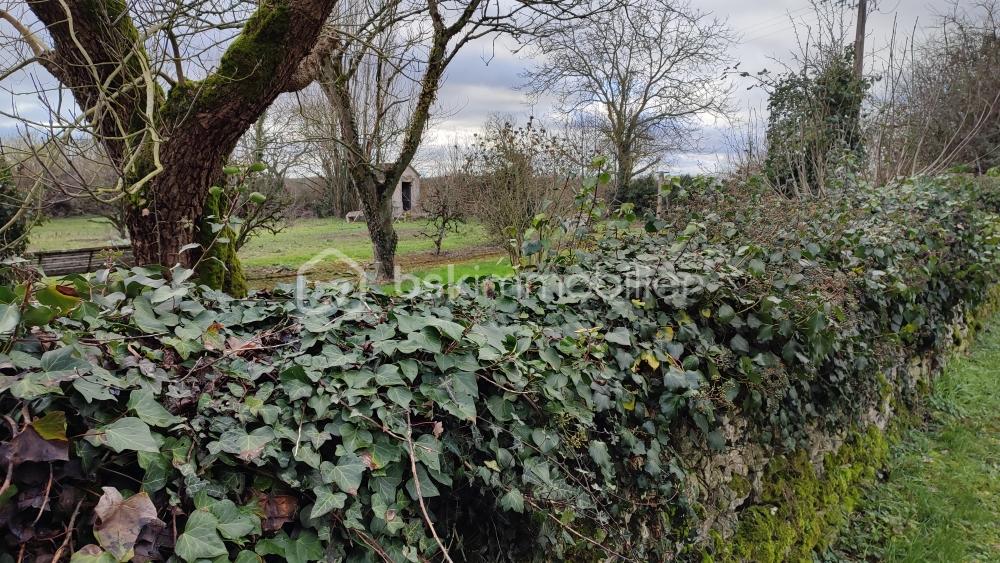 Terrain de 600 m² - IMG_20260128_151936.jpg