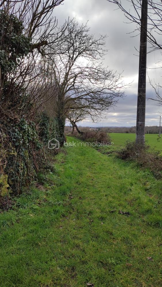 Terrain de 600 m² - IMG_20260128_152309.jpg