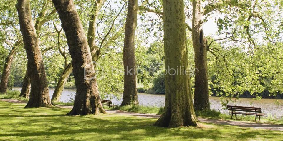 Maison de 44,10 m² - bords_sevre_platanes.jpg