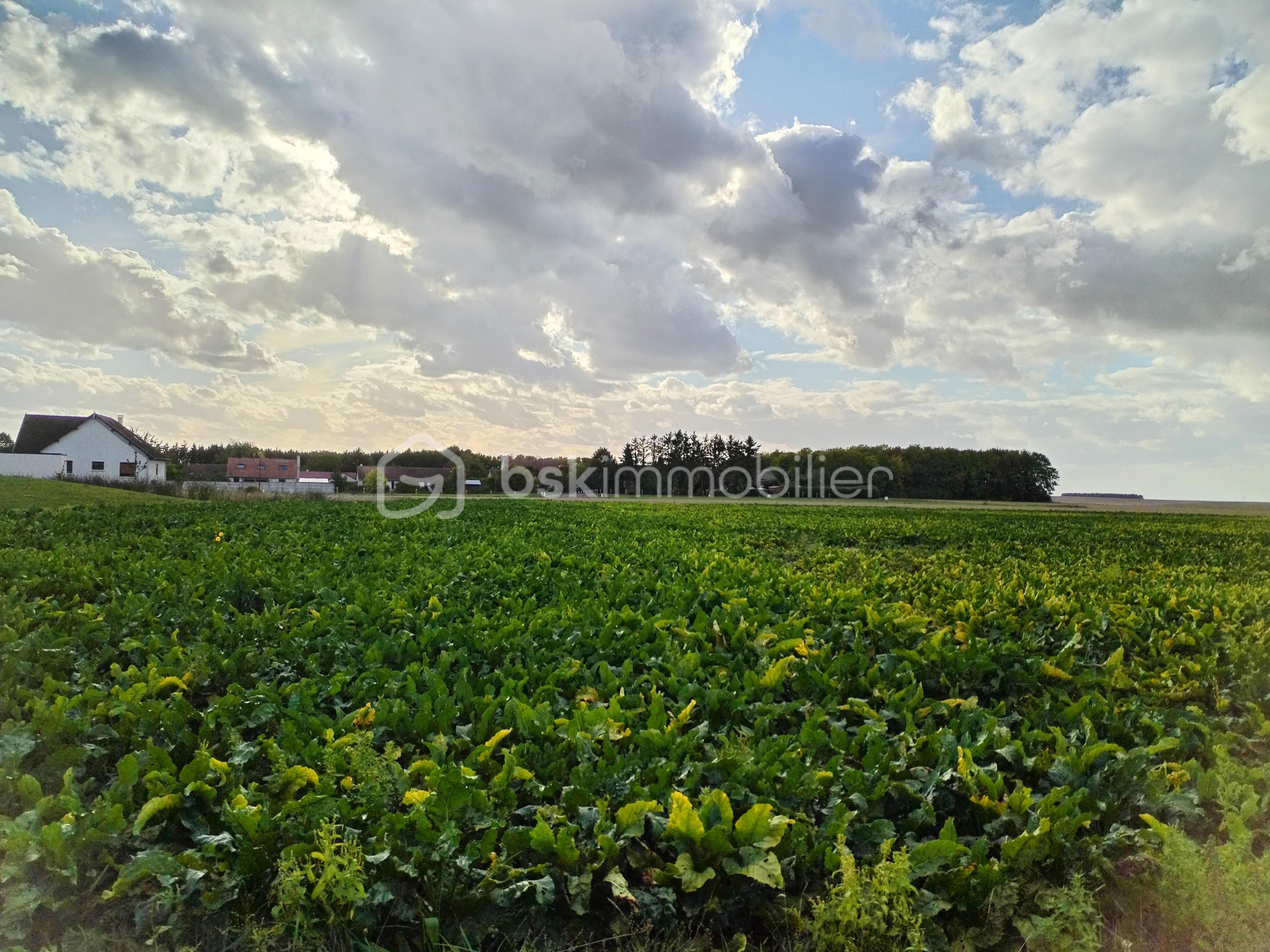 Terrain de 653 m² - IMG_20250916_120950.jpg