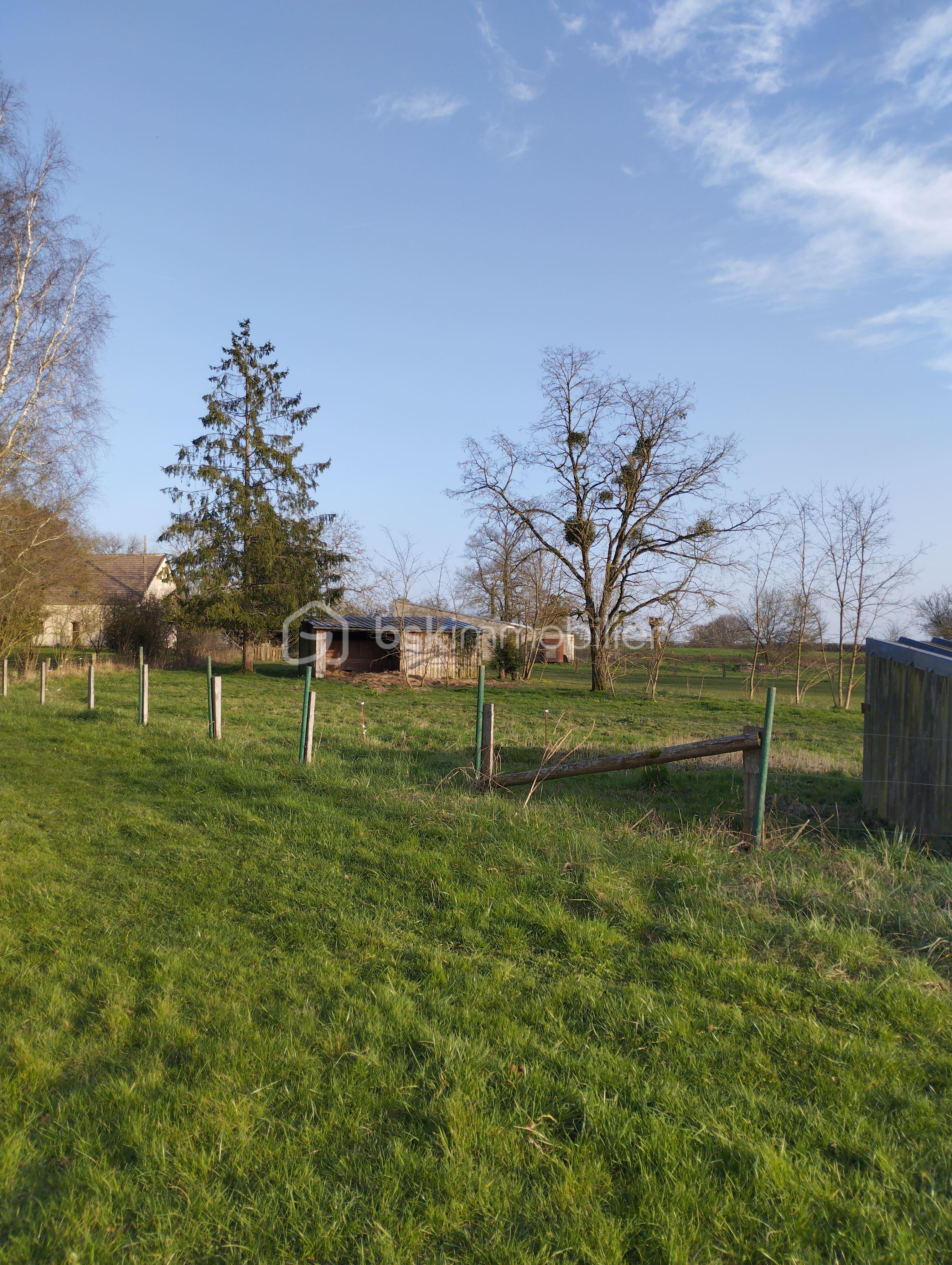 IMG_20260225_171325 (1).jpg