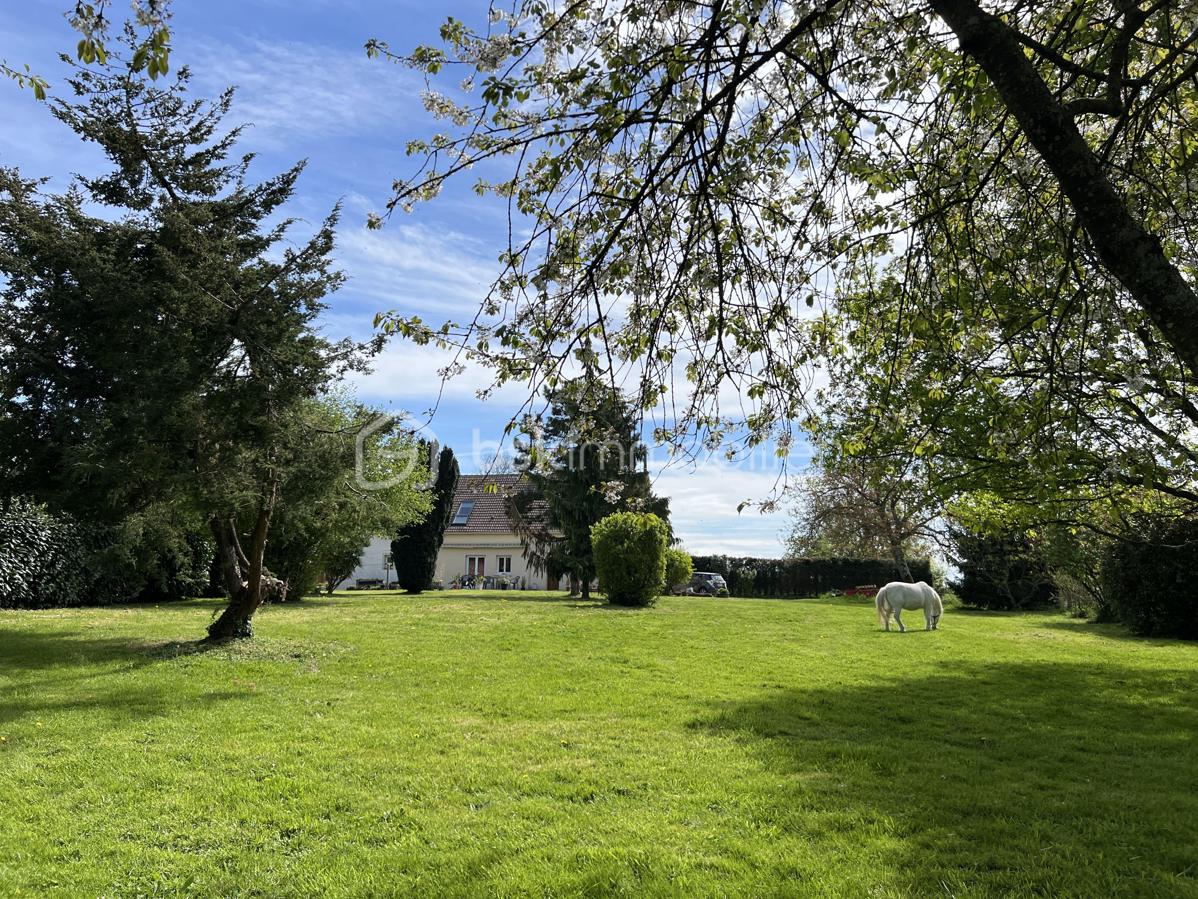 IMG_0437 (1) (1).jpg