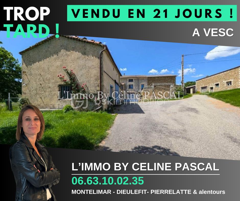 Corps de ferme de 330 m² - fb vesc chastan.png