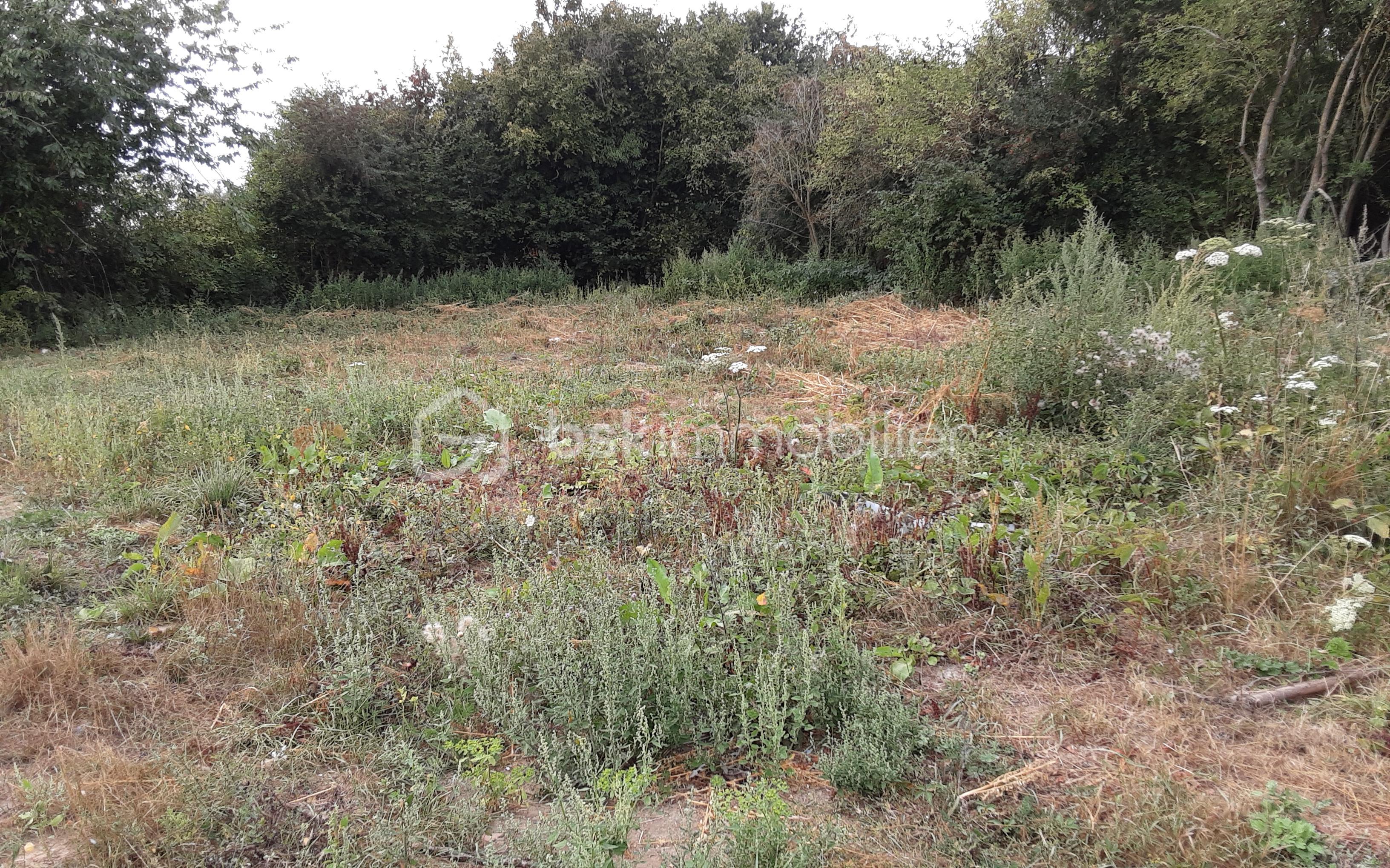 Terrain commercial de 620 m² - 20250822_191423.jpg