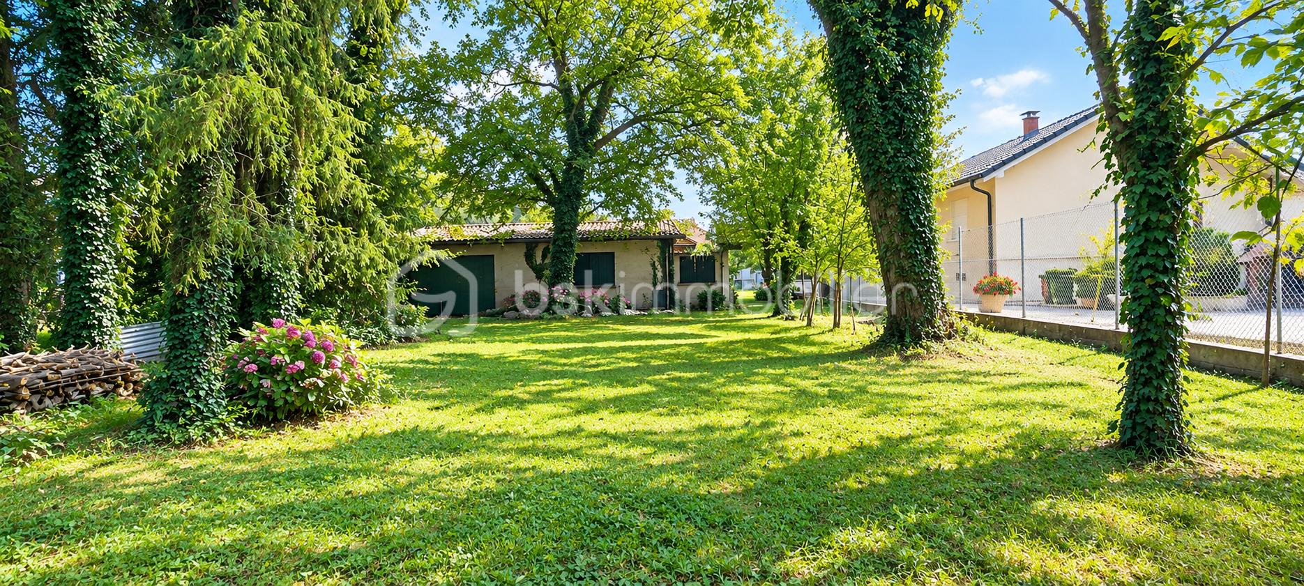 2eme photo du jardin.png