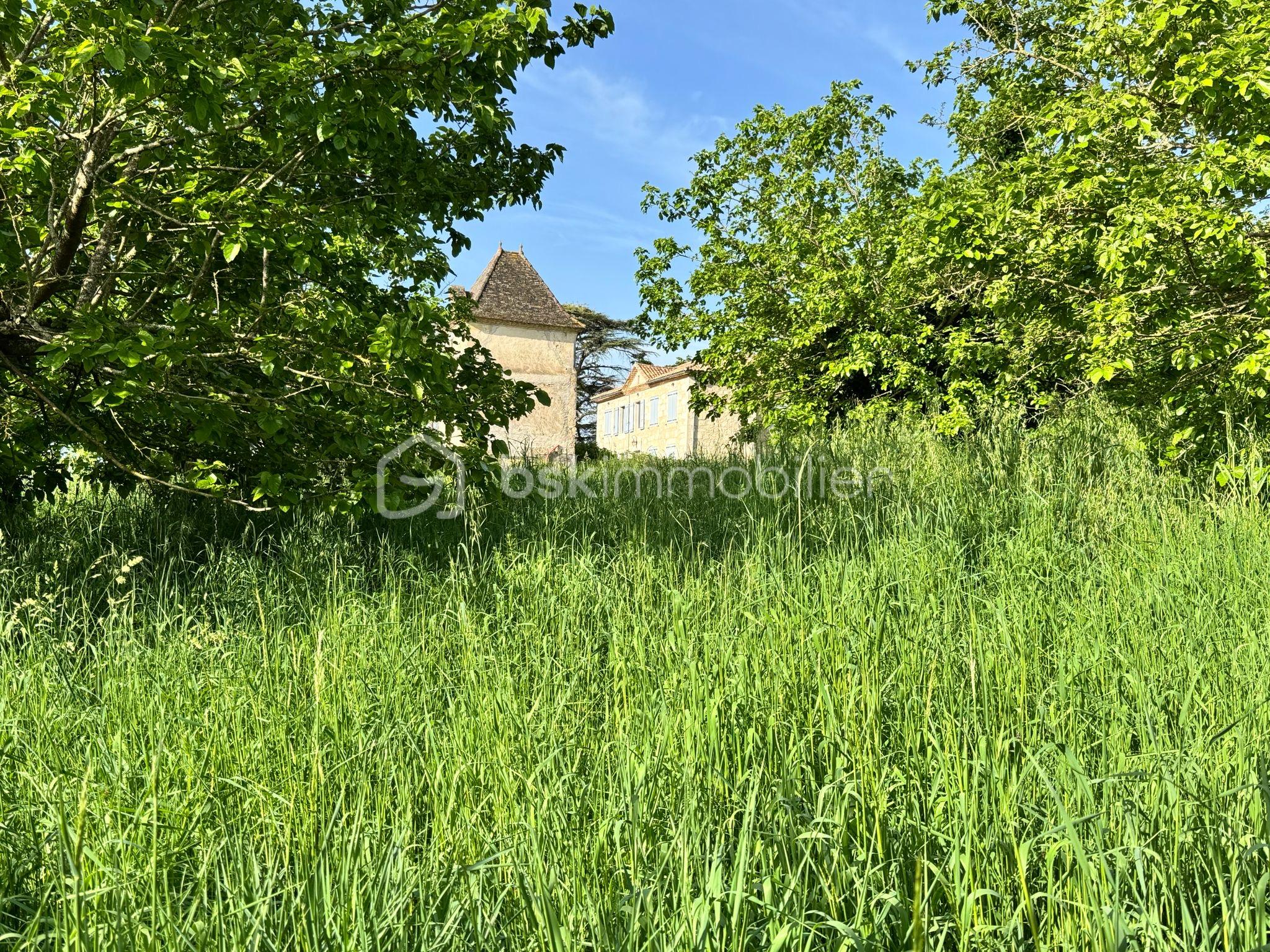 Maison de 250 m² - 3e3b386f-ee78-4167-8c55-35ef12f7da77.jpeg