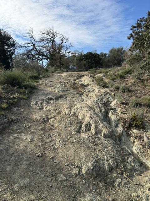 Chemin 2 terrain Nefiach .jpeg