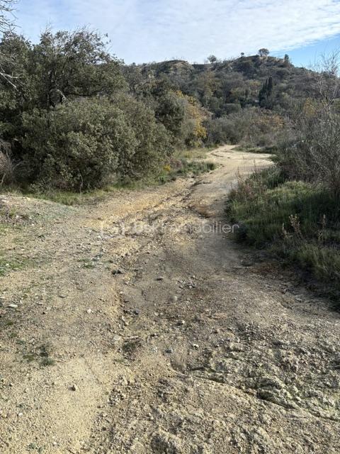 Chemin terrain Nefiach .jpeg