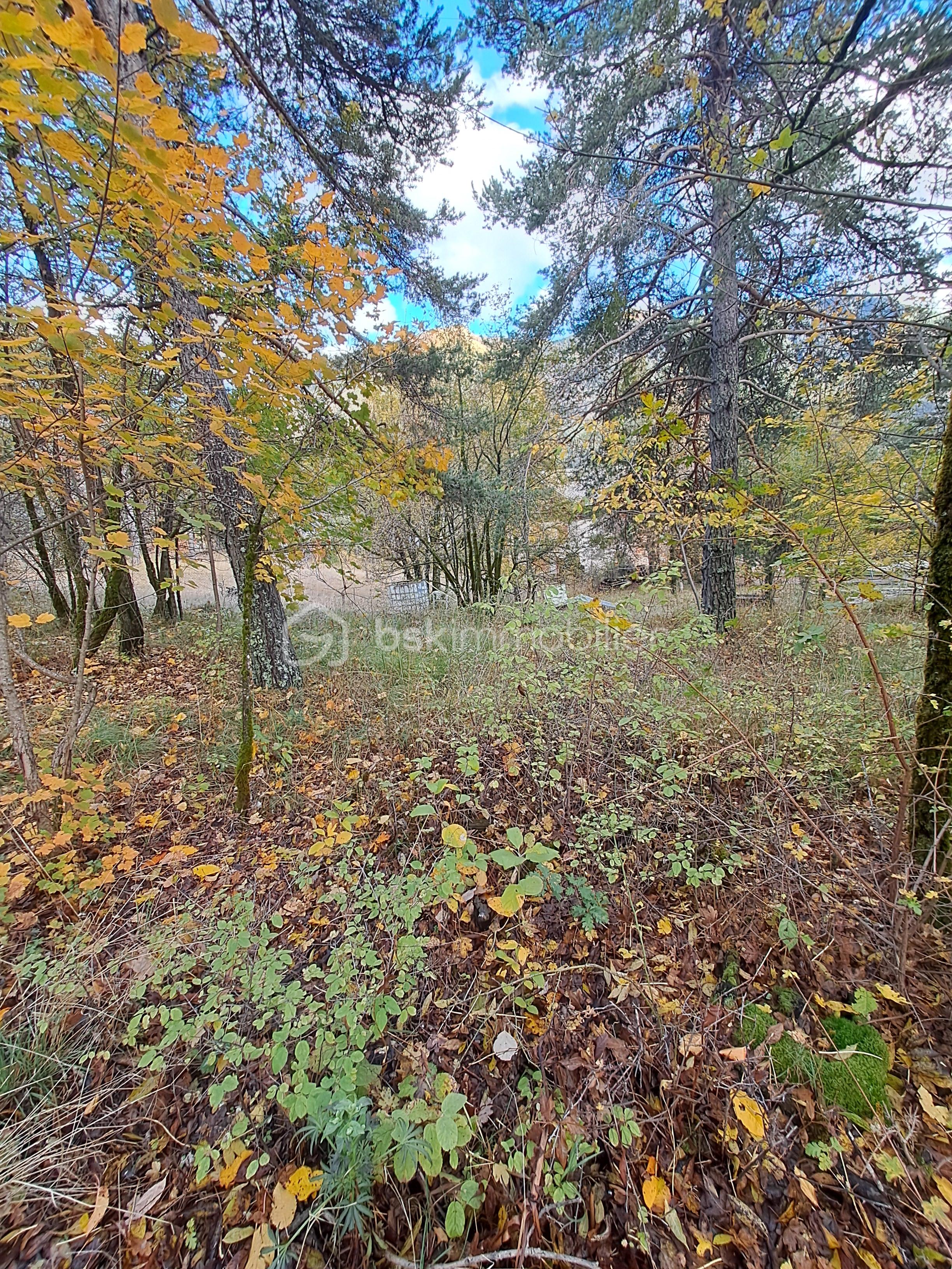 Terrain de 1 602 m² - 20251023_170955.jpg