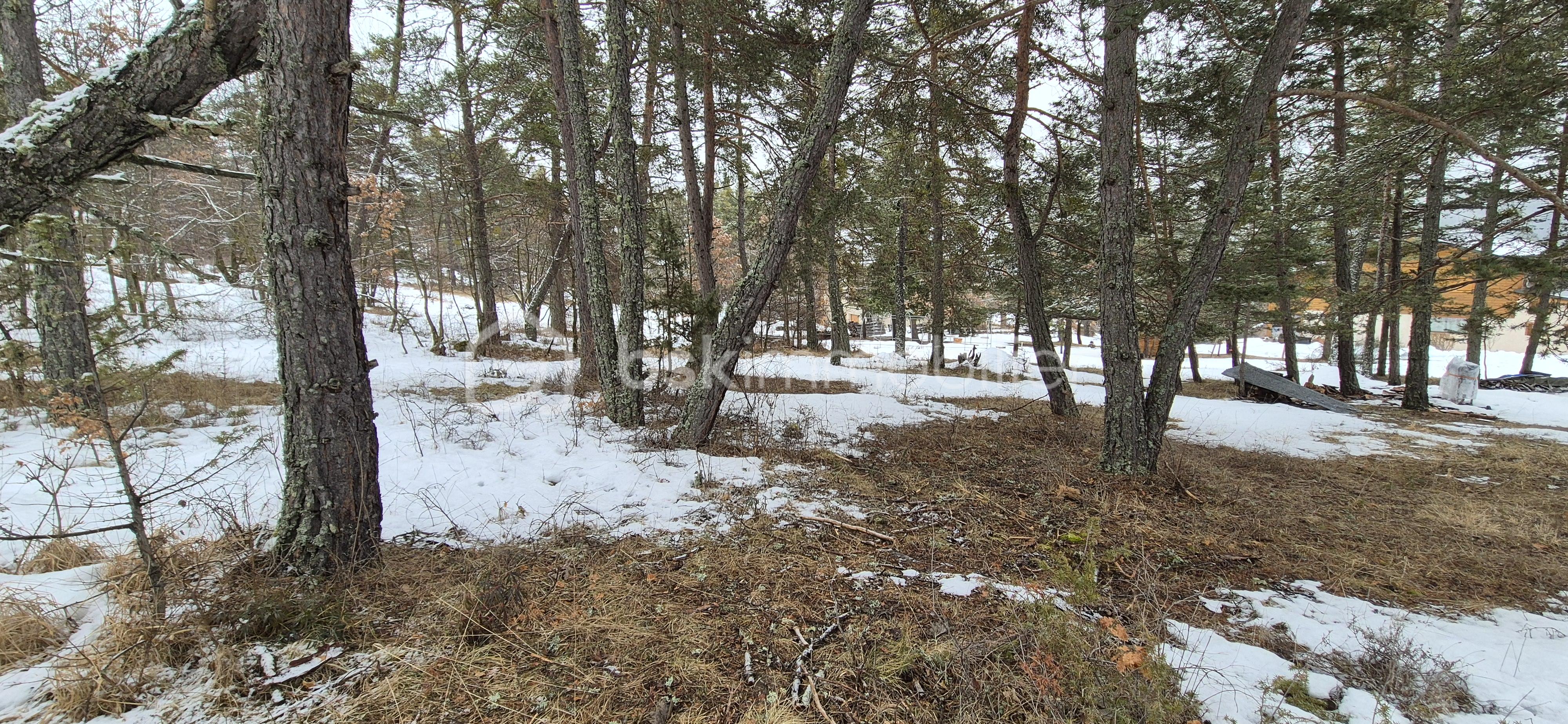 Terrain de 1 602 m² - 20260210_104630.jpg