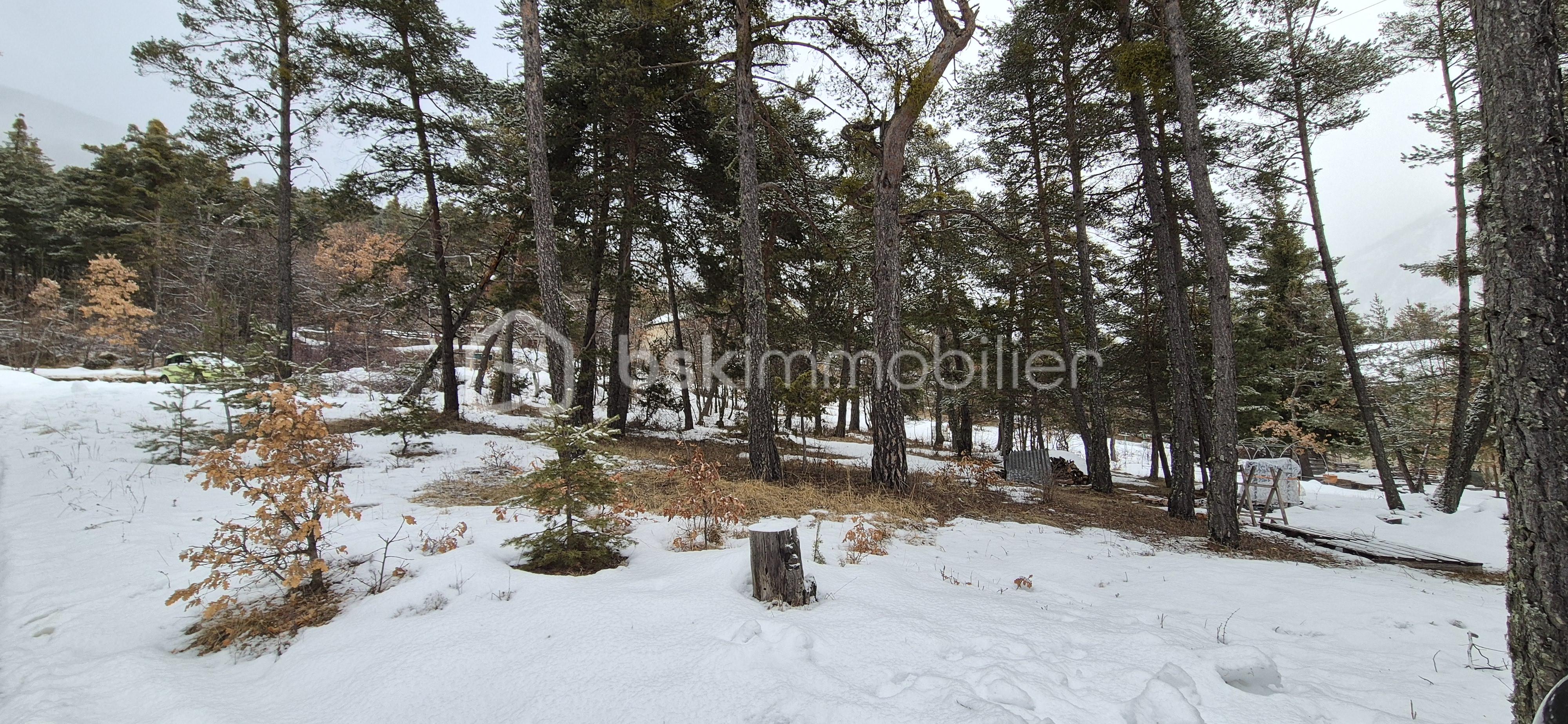 Terrain de 1 602 m² - 20260210_104059.jpg