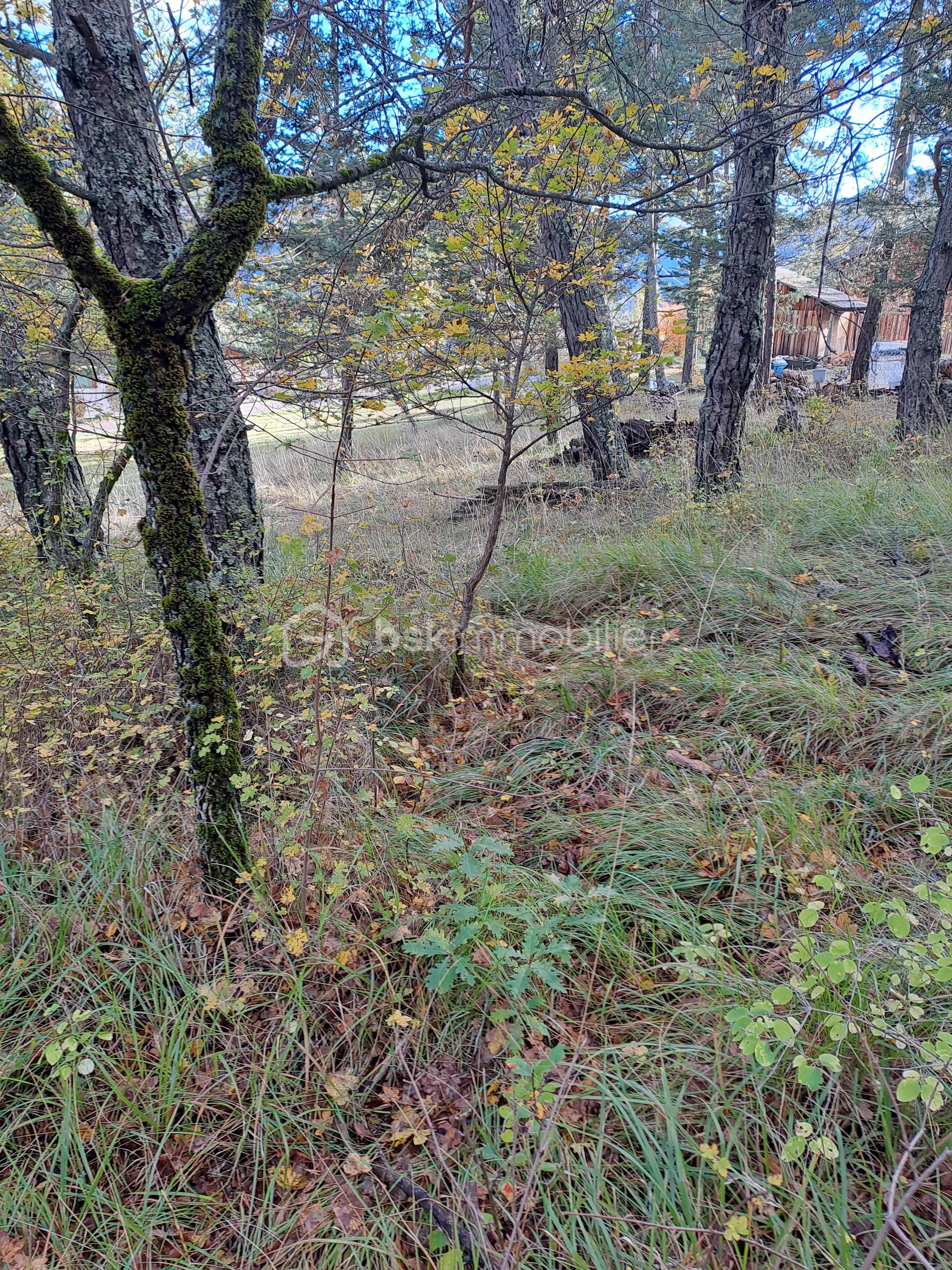 Terrain de 1 602 m² - 20251023_170631.jpg