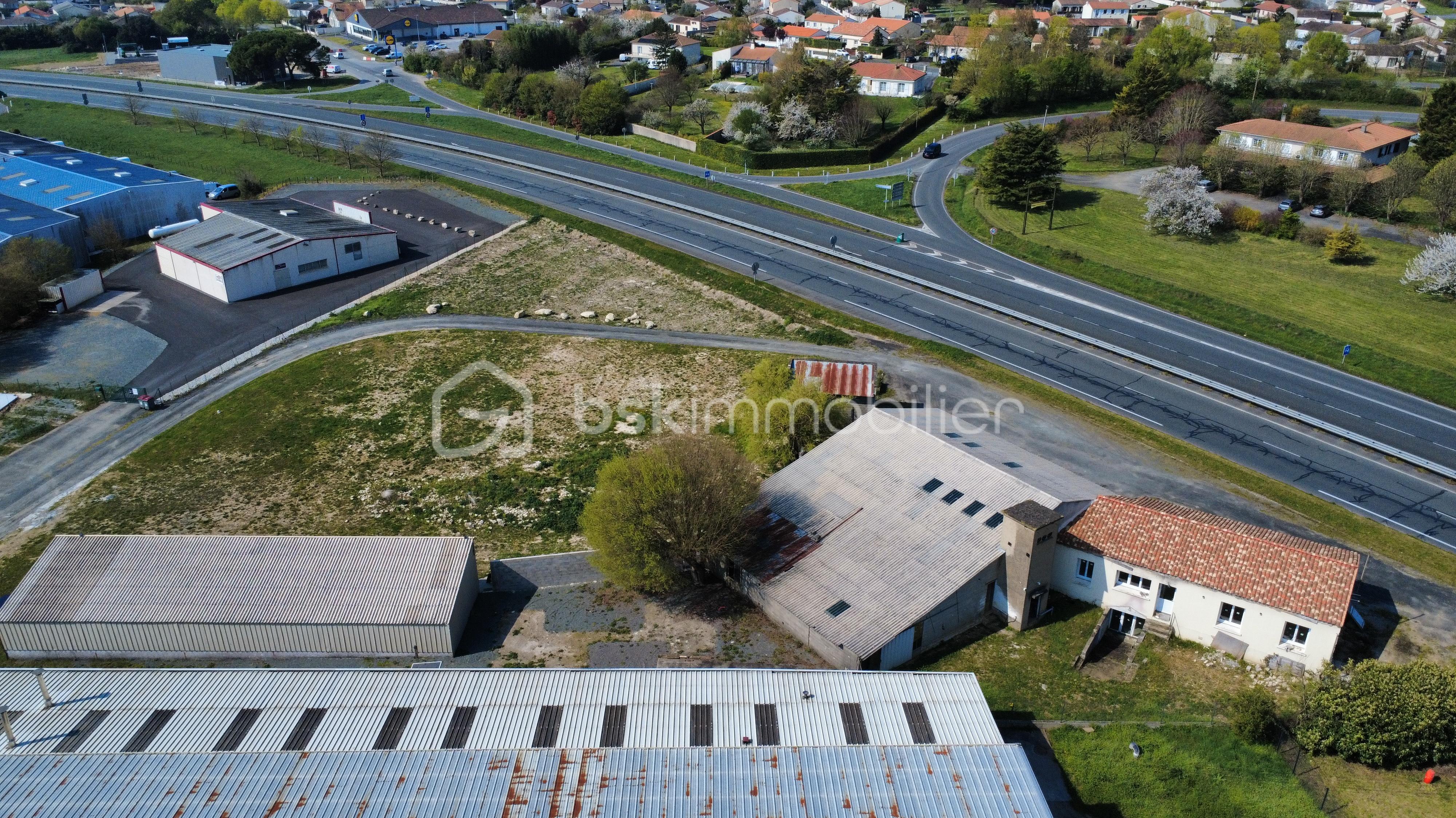 dji_fly_20260323_120900_571_1774264147840_photo_optimized.jpg