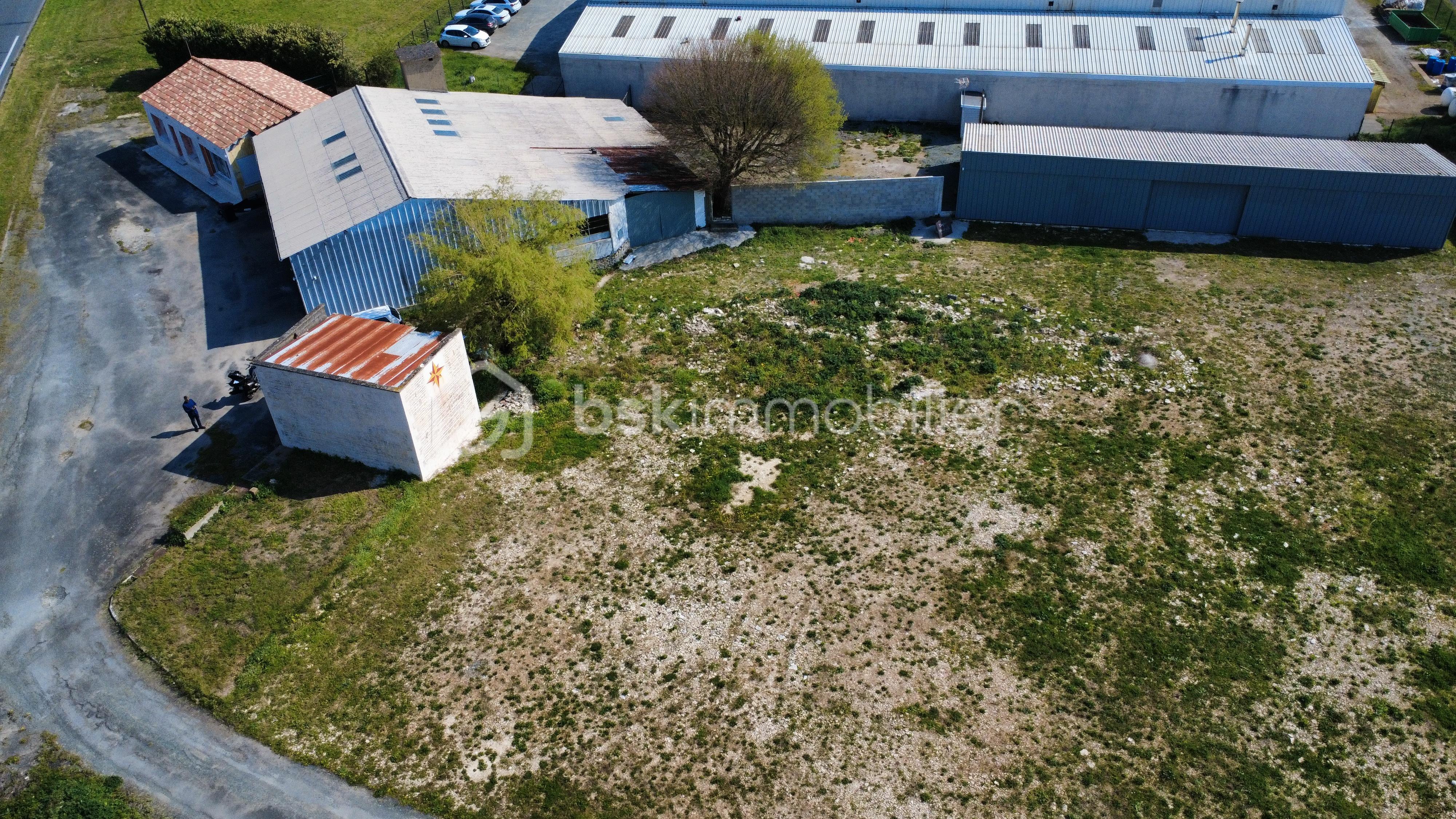 dji_fly_20260323_120312_560_1774263799468_photo_optimized.jpg