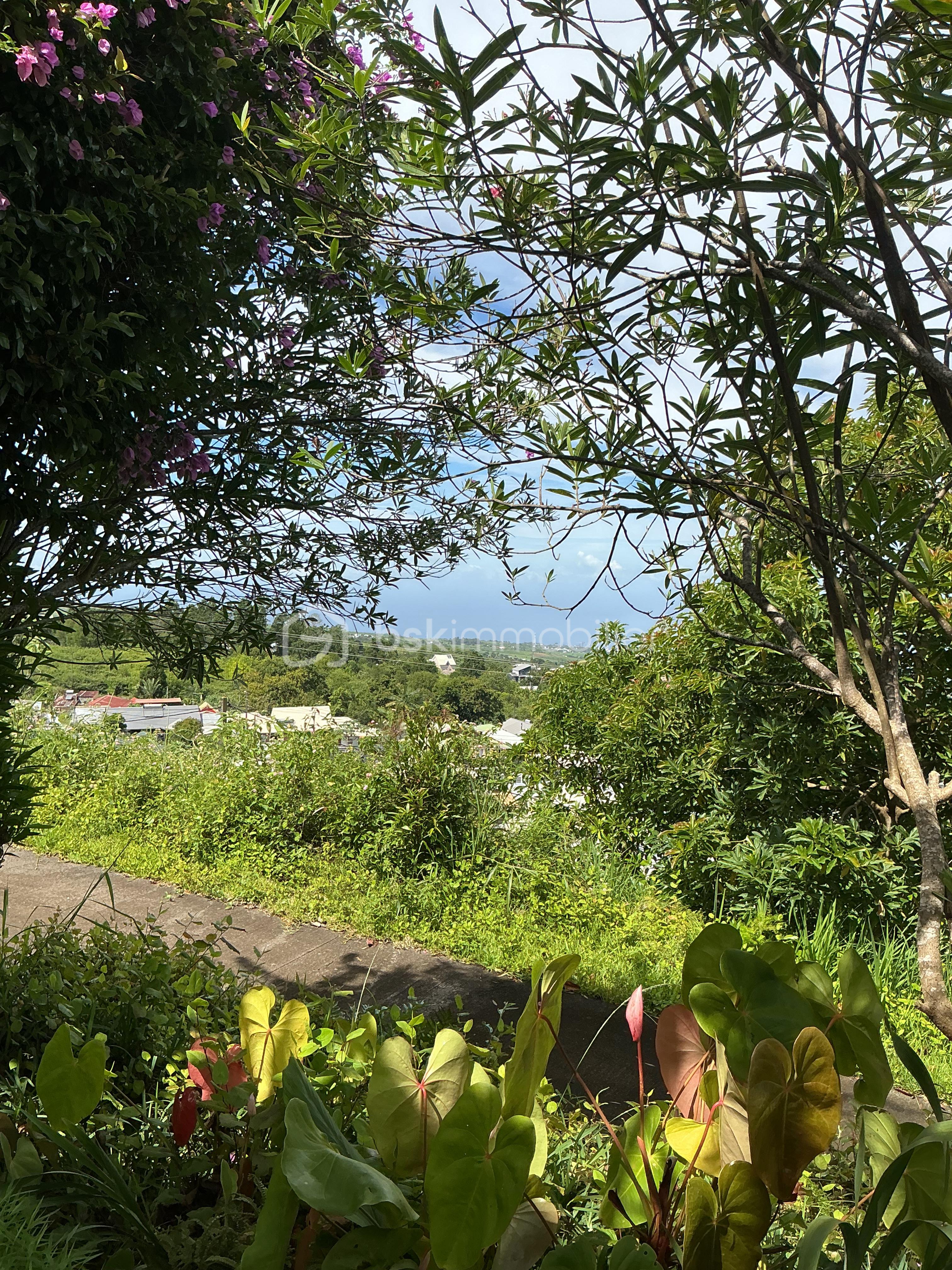IMG_0539.jpeg