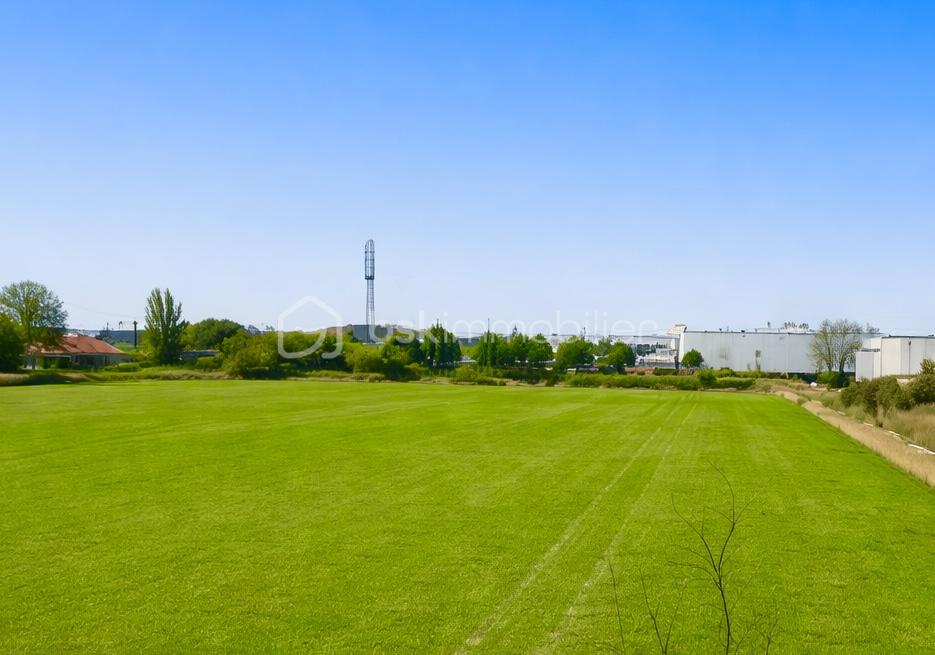 philippe vue des champs.png