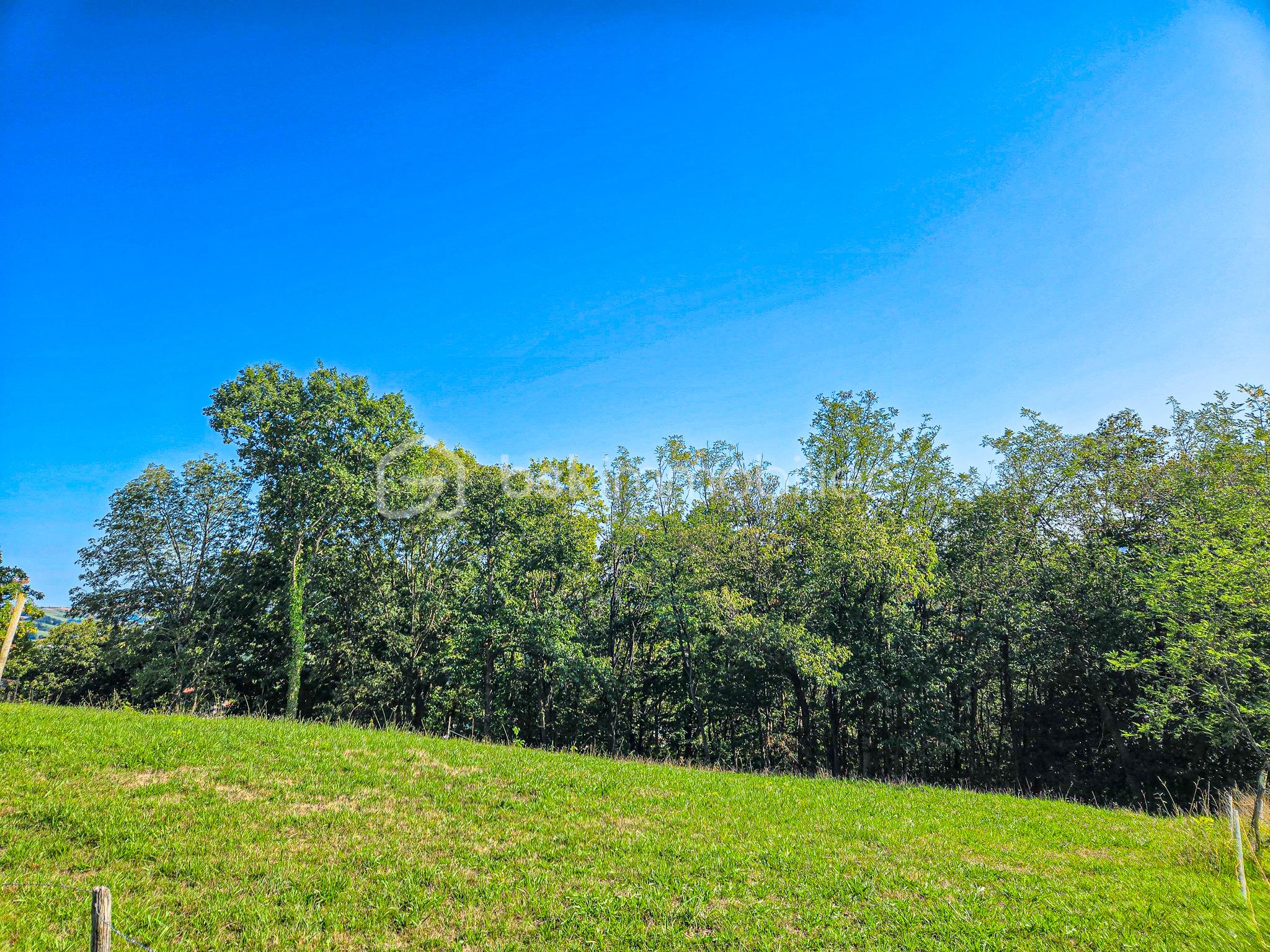 Terrain de 1 633 m² - 20250905_172517.jpg